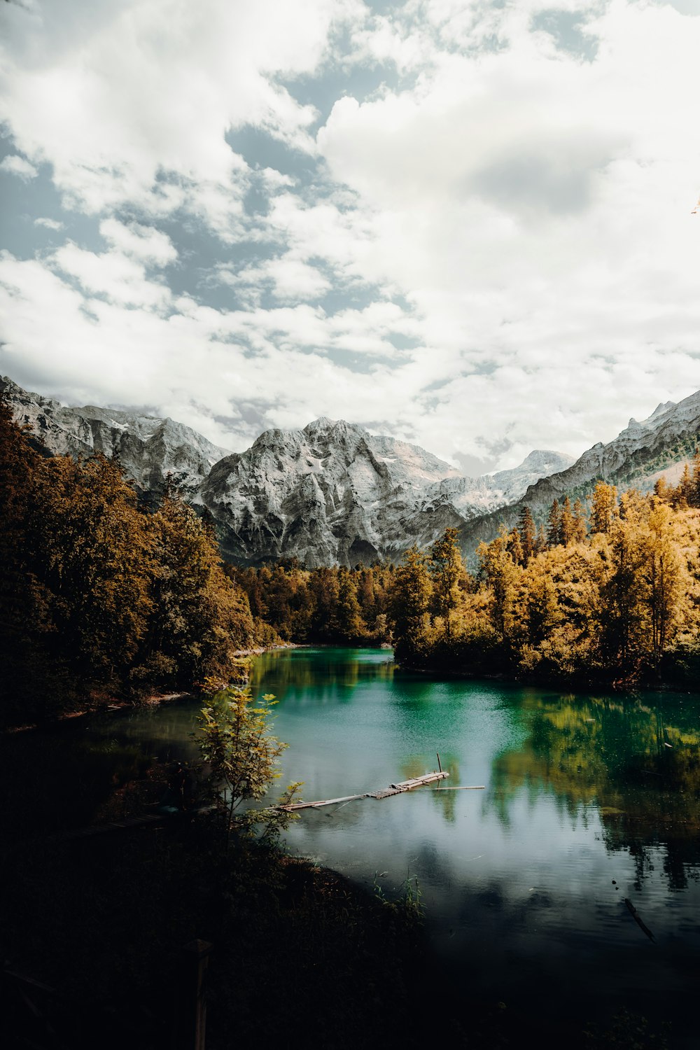 green trees near lake and mountain under white clouds during daytime