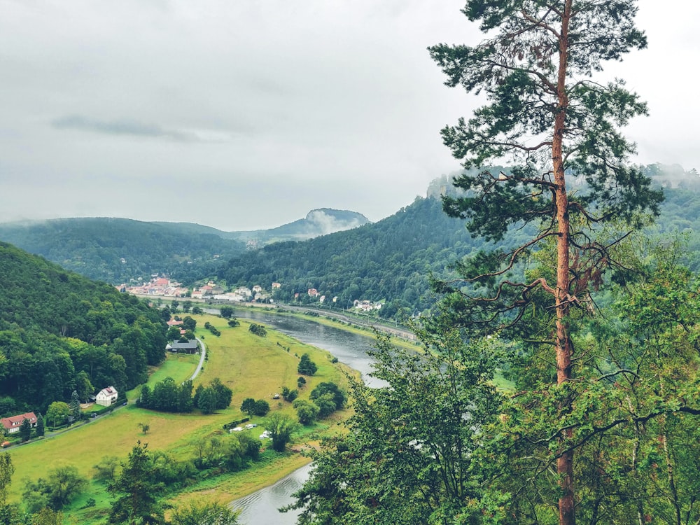 green trees on green grass field near mountain under white clouds during daytime