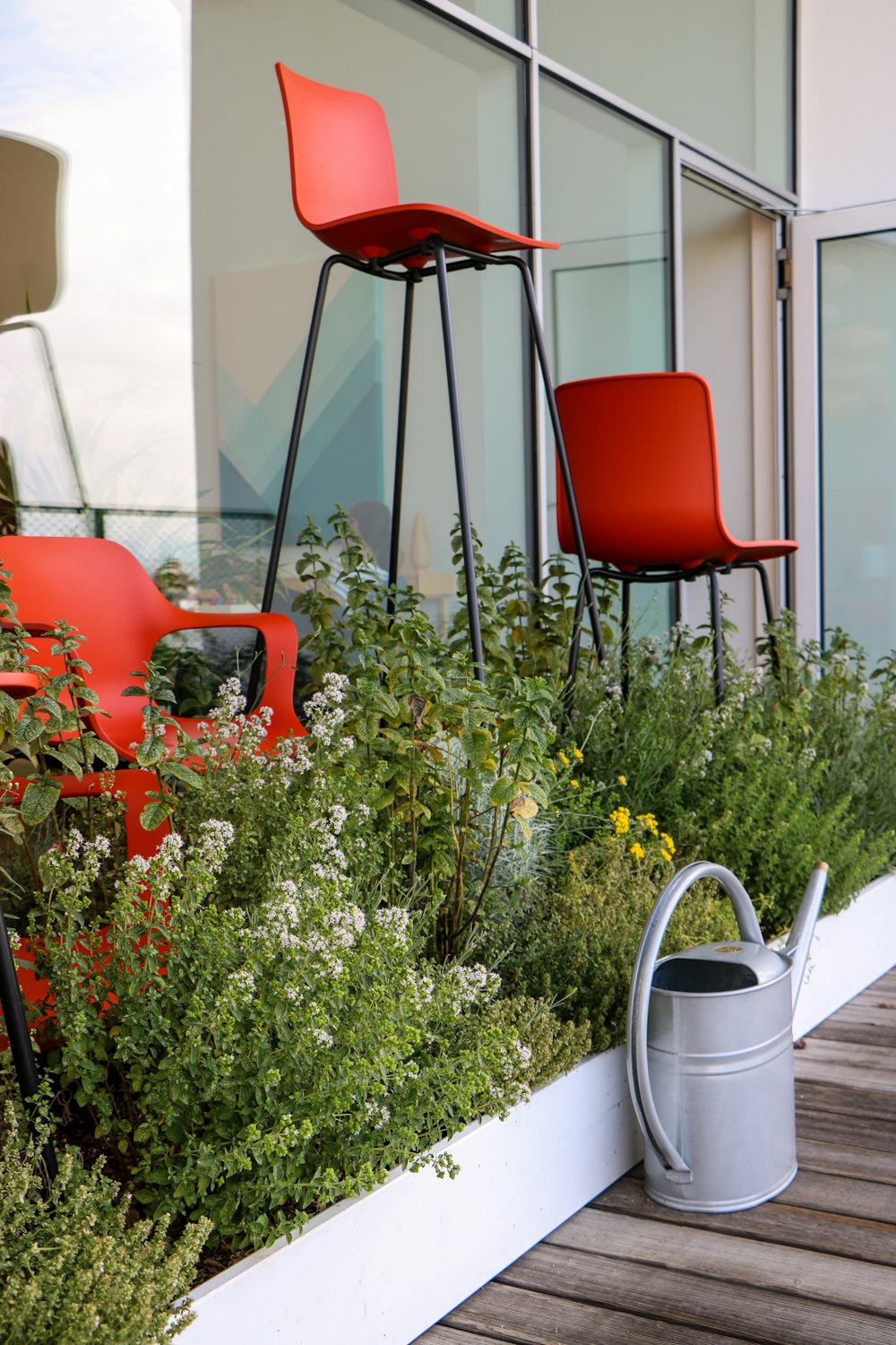 chaise rouge et blanche à côté de plantes vertes