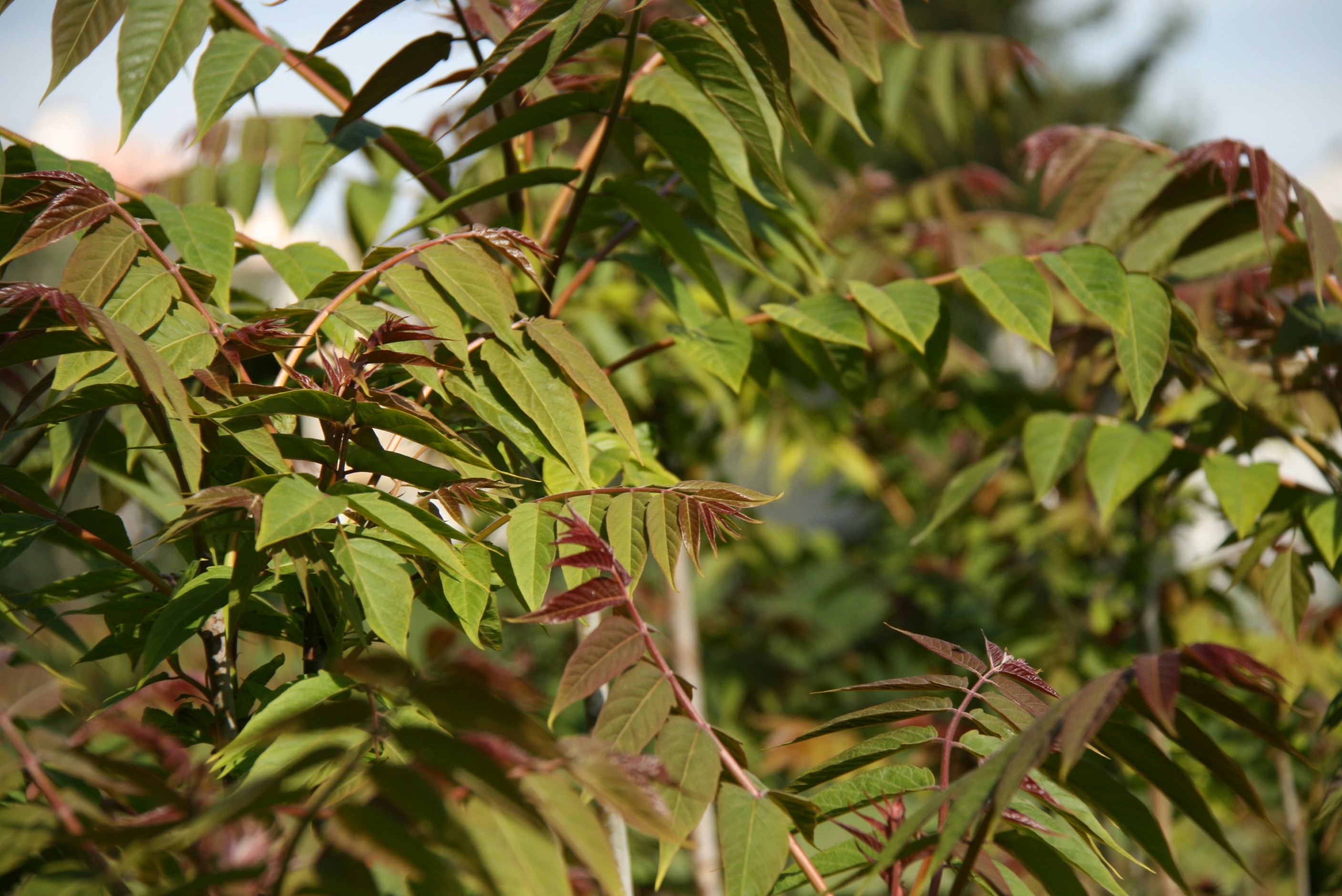 Photo by helenacucas