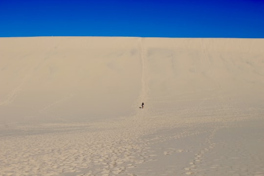 person walking on white sand during daytime in Moreton Island Australia