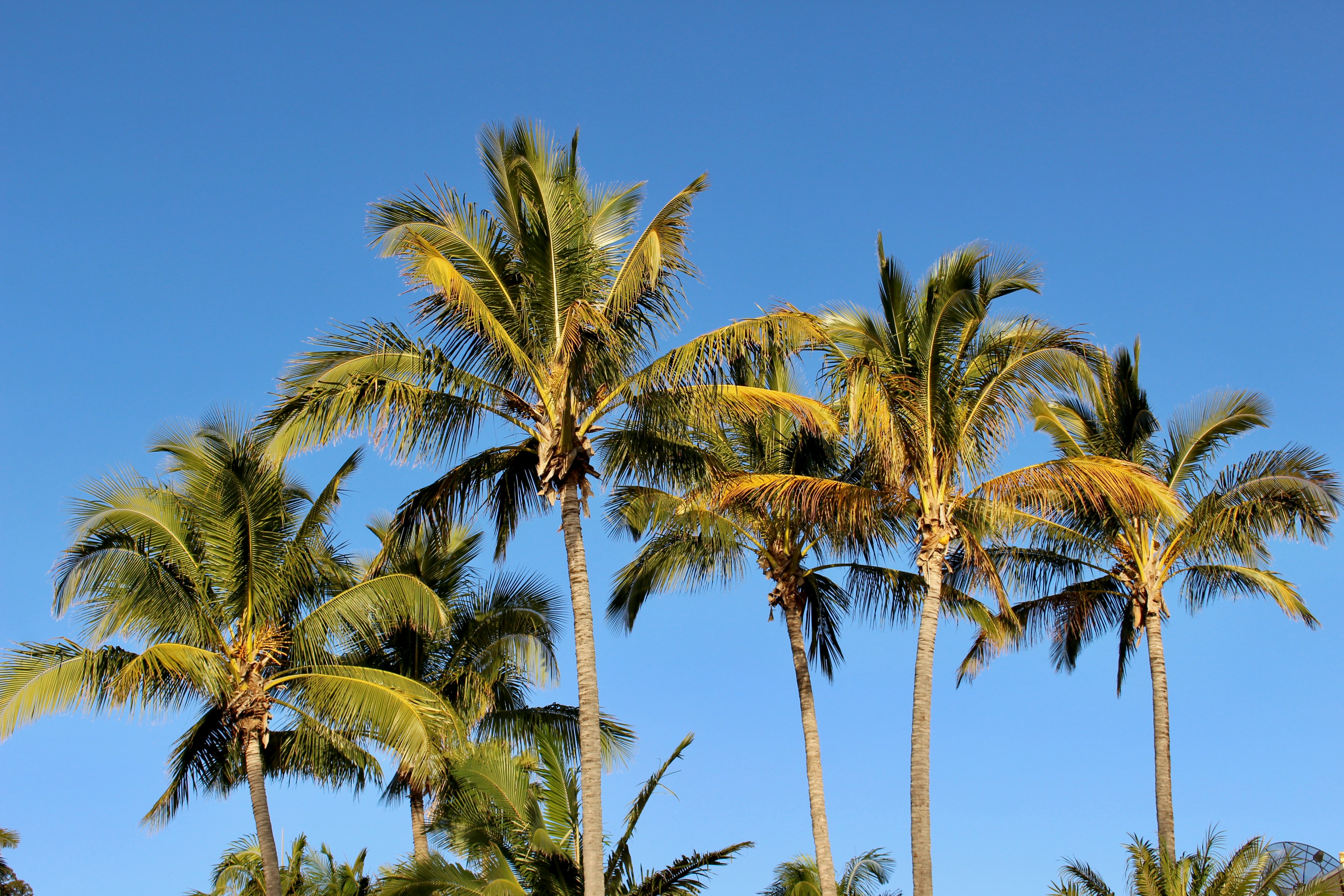 Photo by taniarichardson