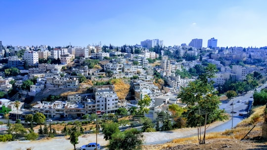 green trees near city buildings during daytime in Jabal Amman Jordan