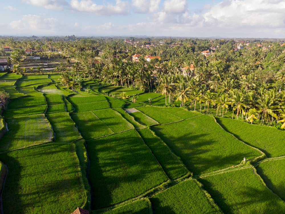 green grass field under white clouds during daytime