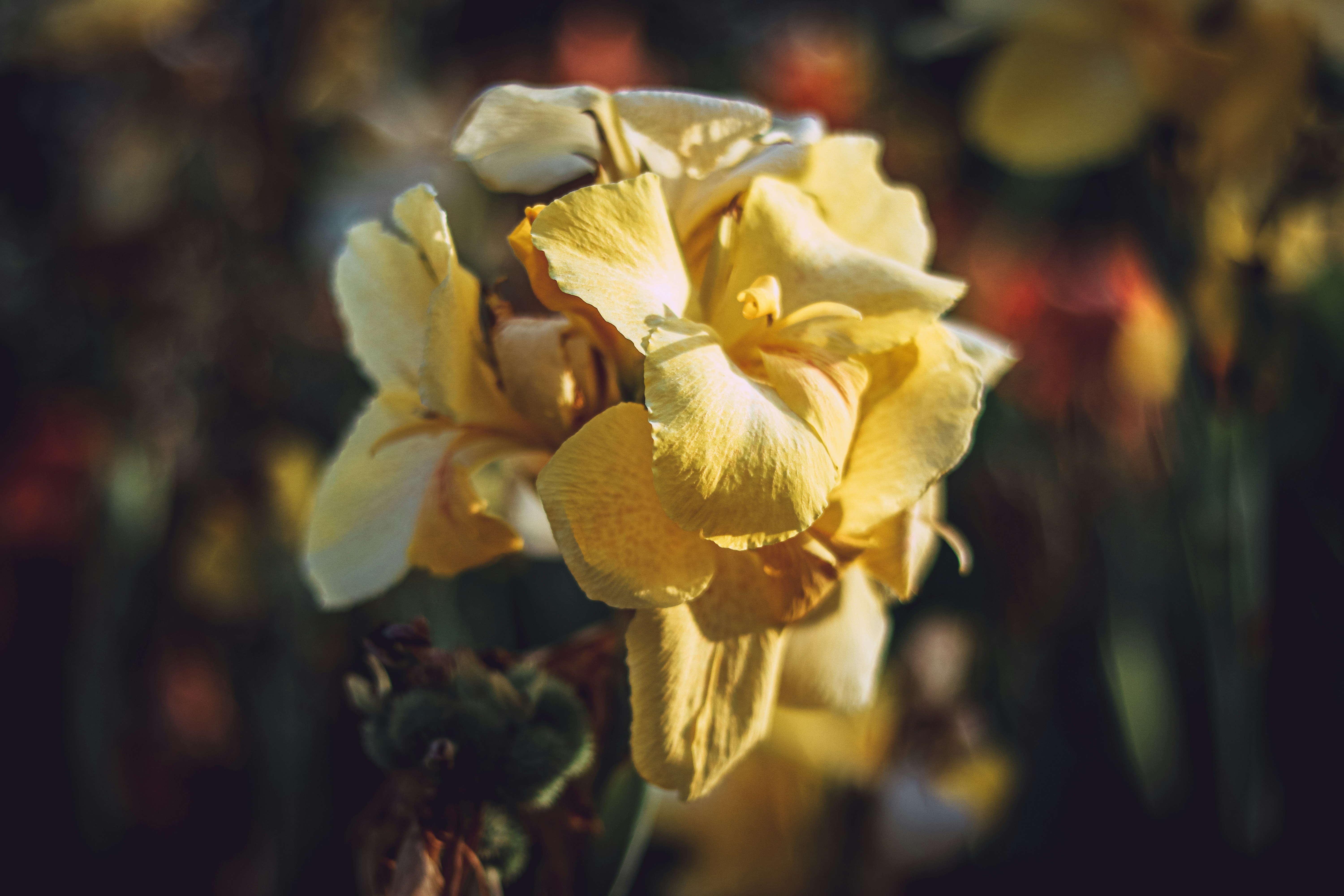 Photo by maxleveridge