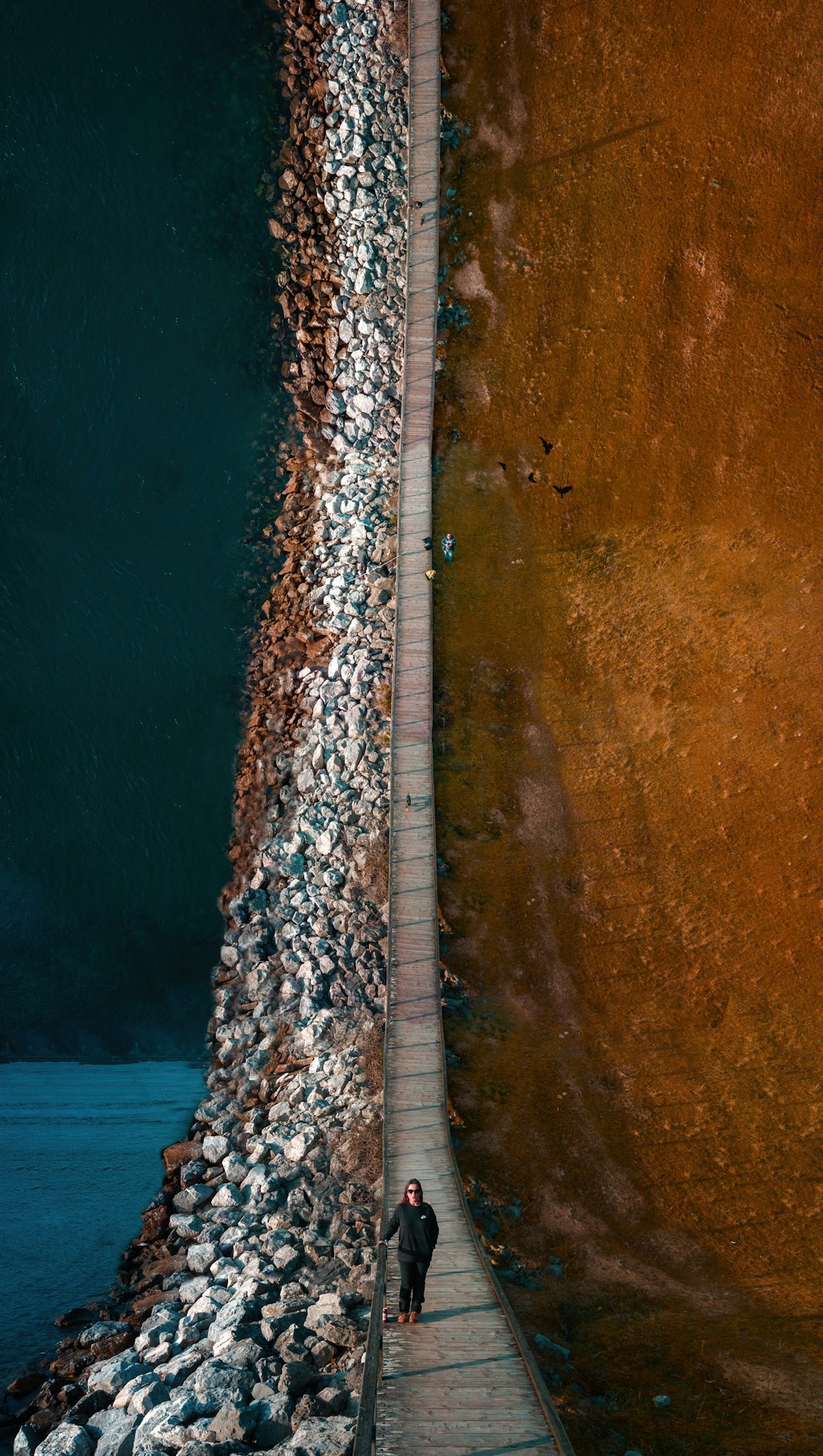 brown and white wooden dock on body of water during daytime