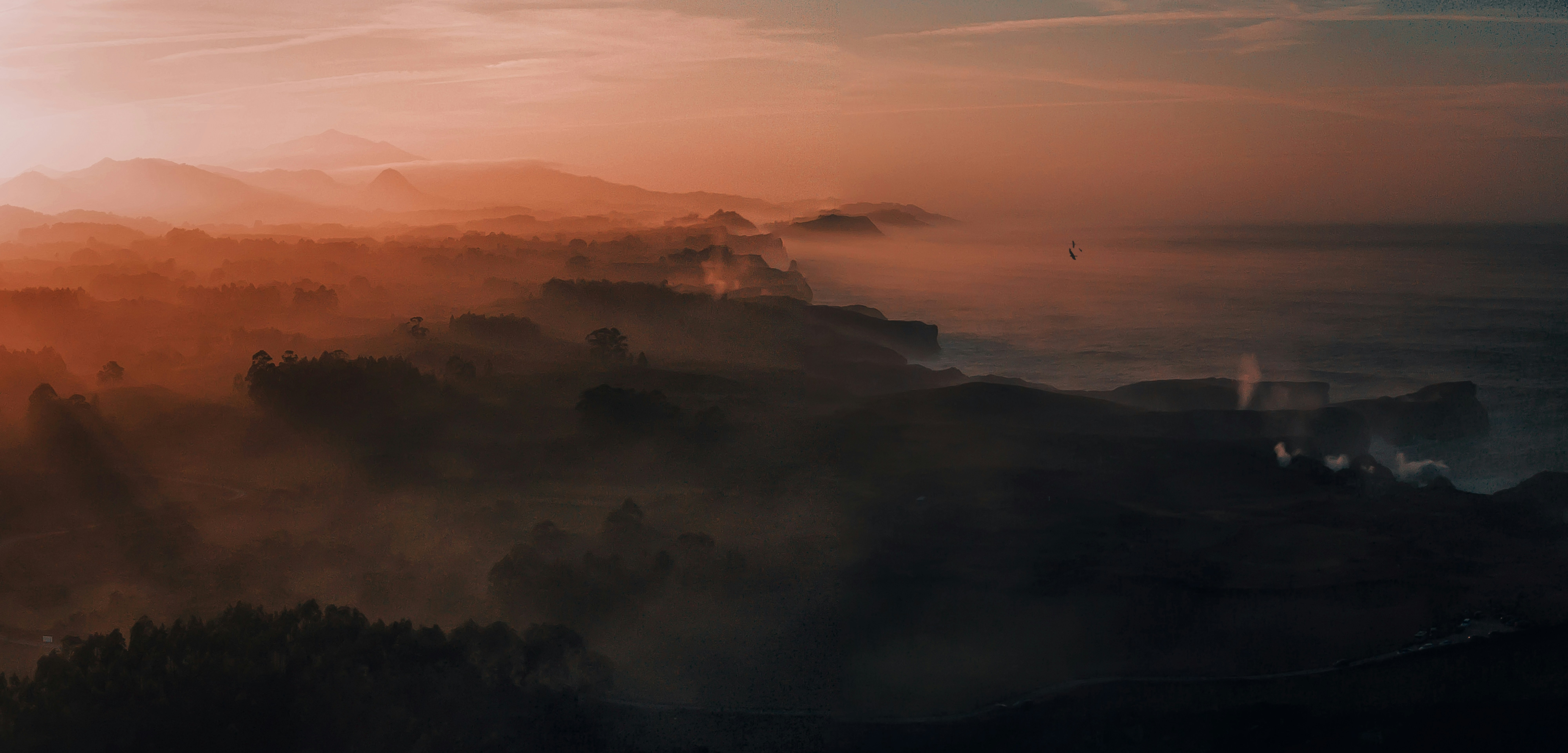 Photo by faustogarmen