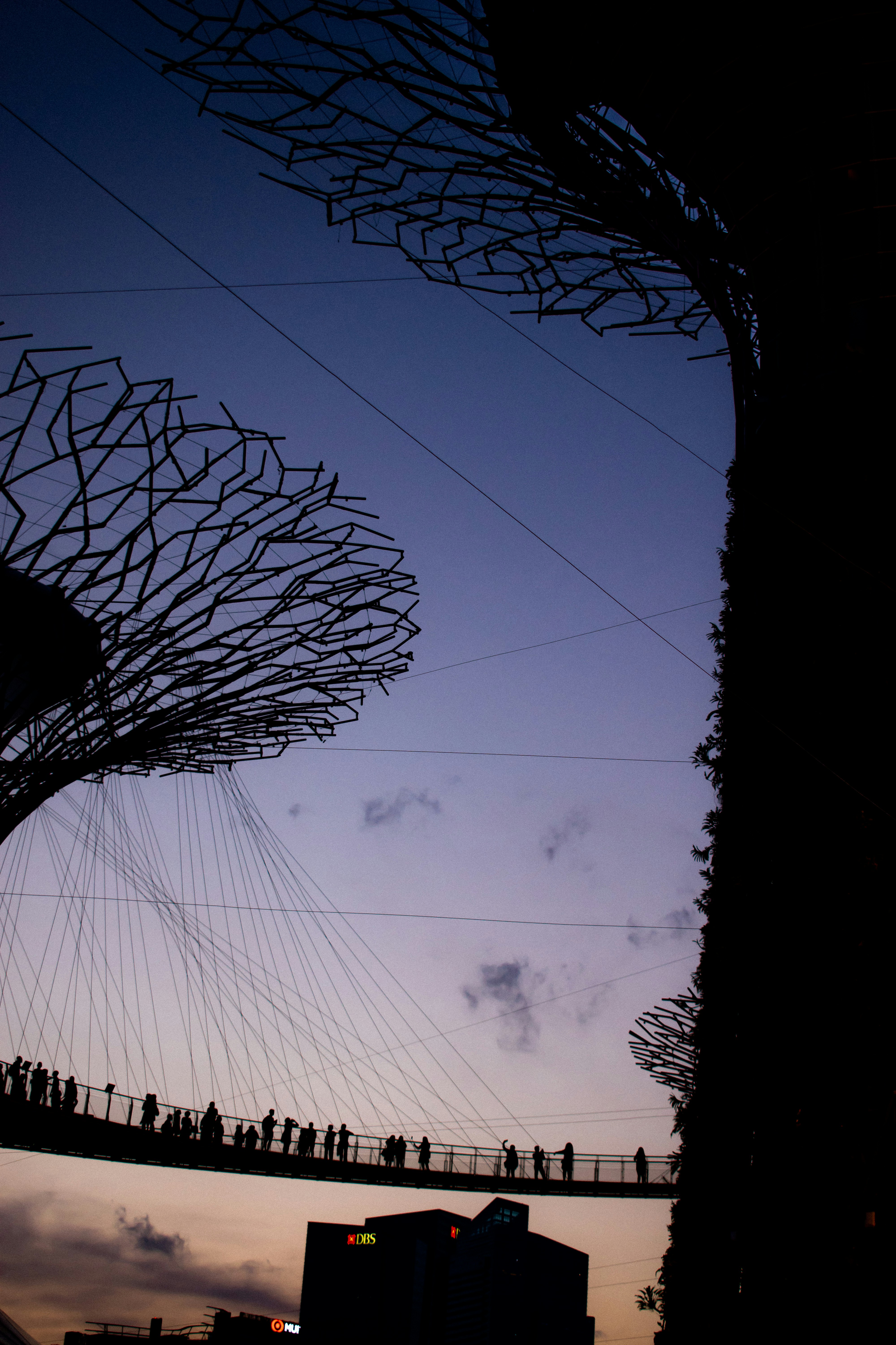 grayscale photo of electric wires