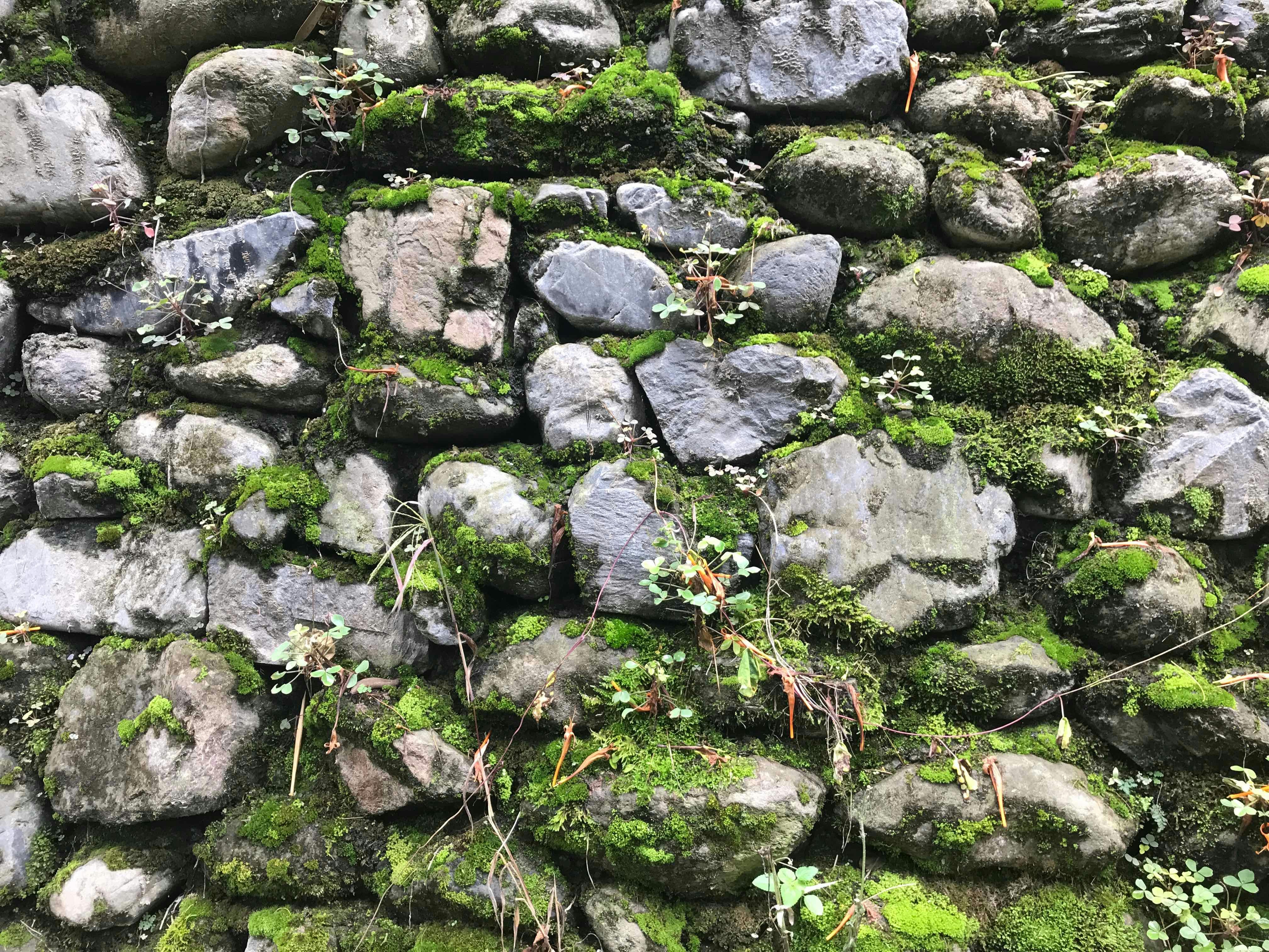 Moss rock retaining wall with terraced planting beds on a sloped Colorado mountain property