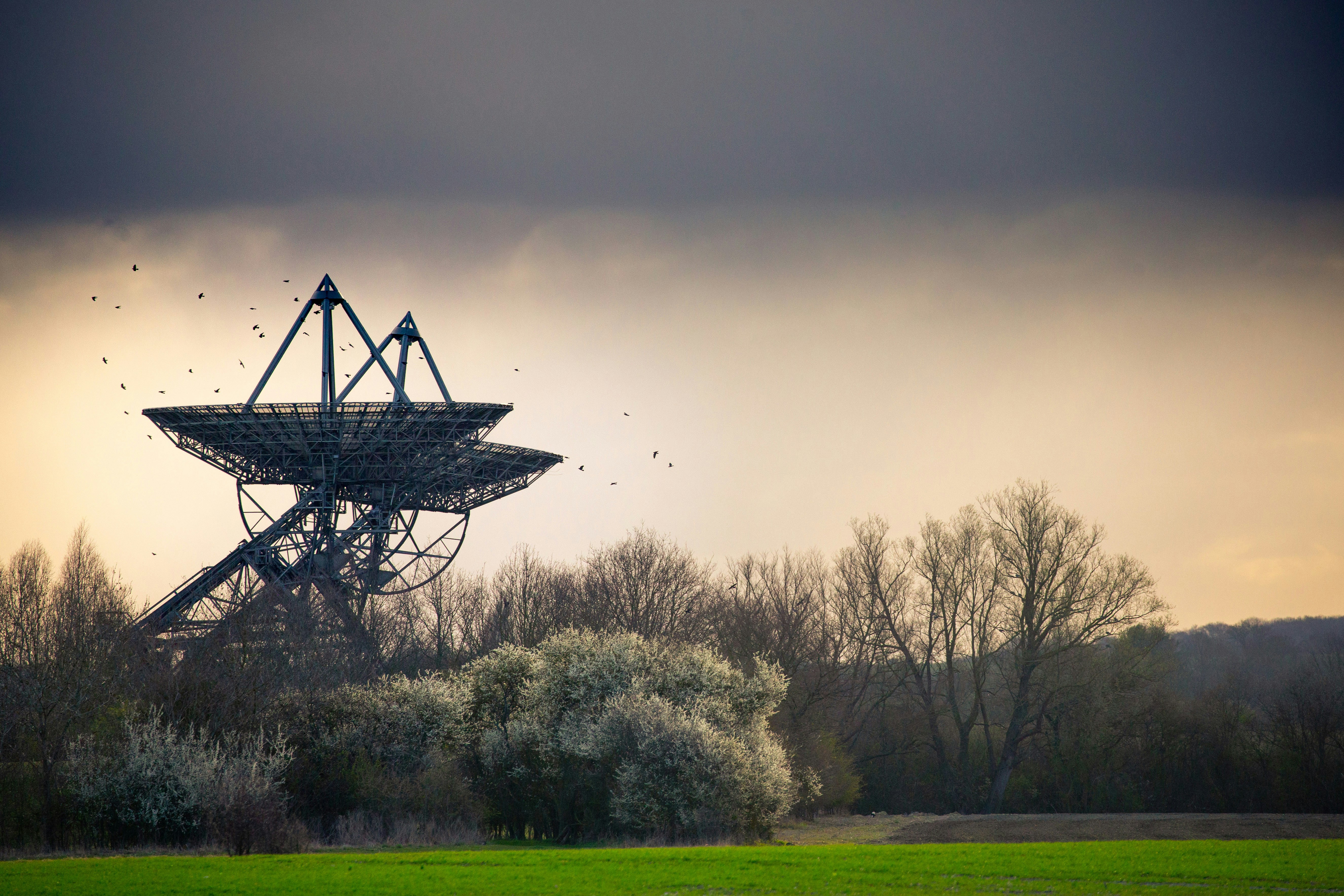 Weekly Uplink: Failure to Widen, Socially Exhausted, and The Syncing Feeling of Lost Edits