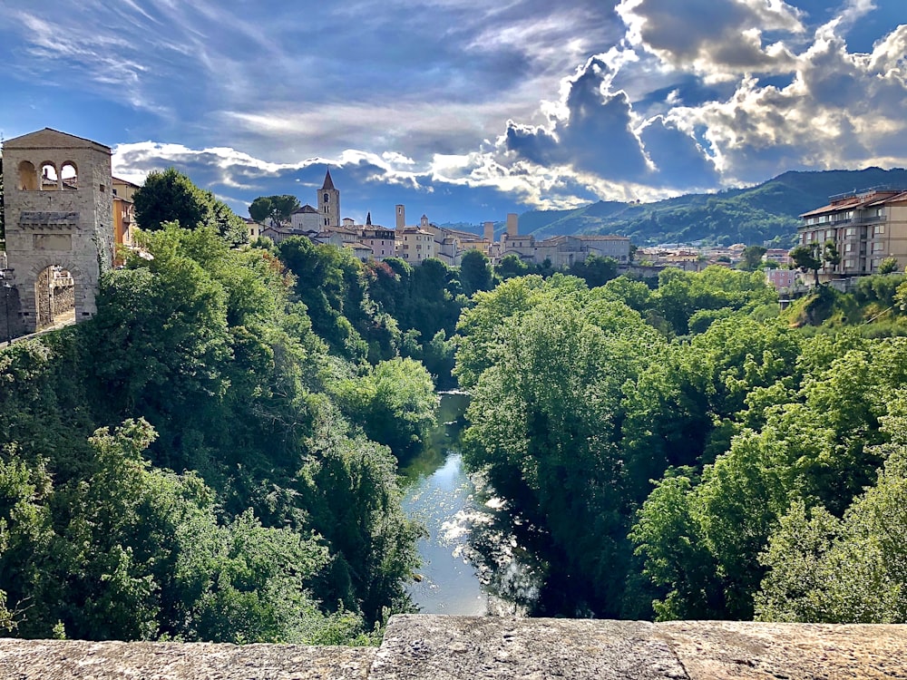 Arbres verts et bâtiment en béton brun sous les nuages blancs et le ciel bleu pendant la journée