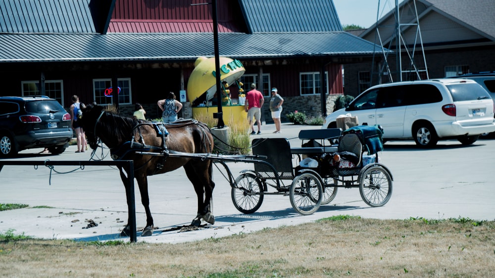 man riding on black horse with white horse on the street during daytime