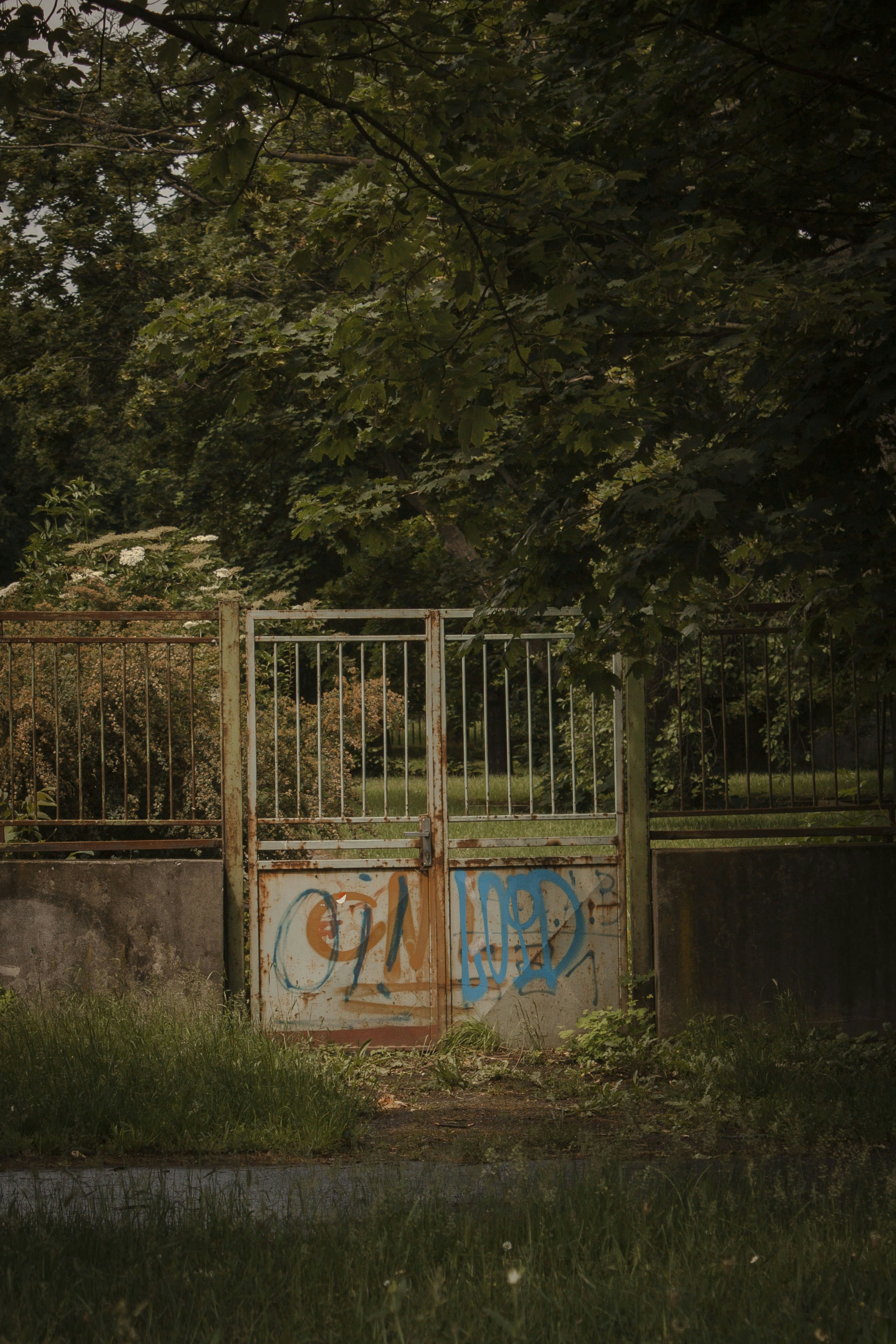 Photo by viktor_vilyus