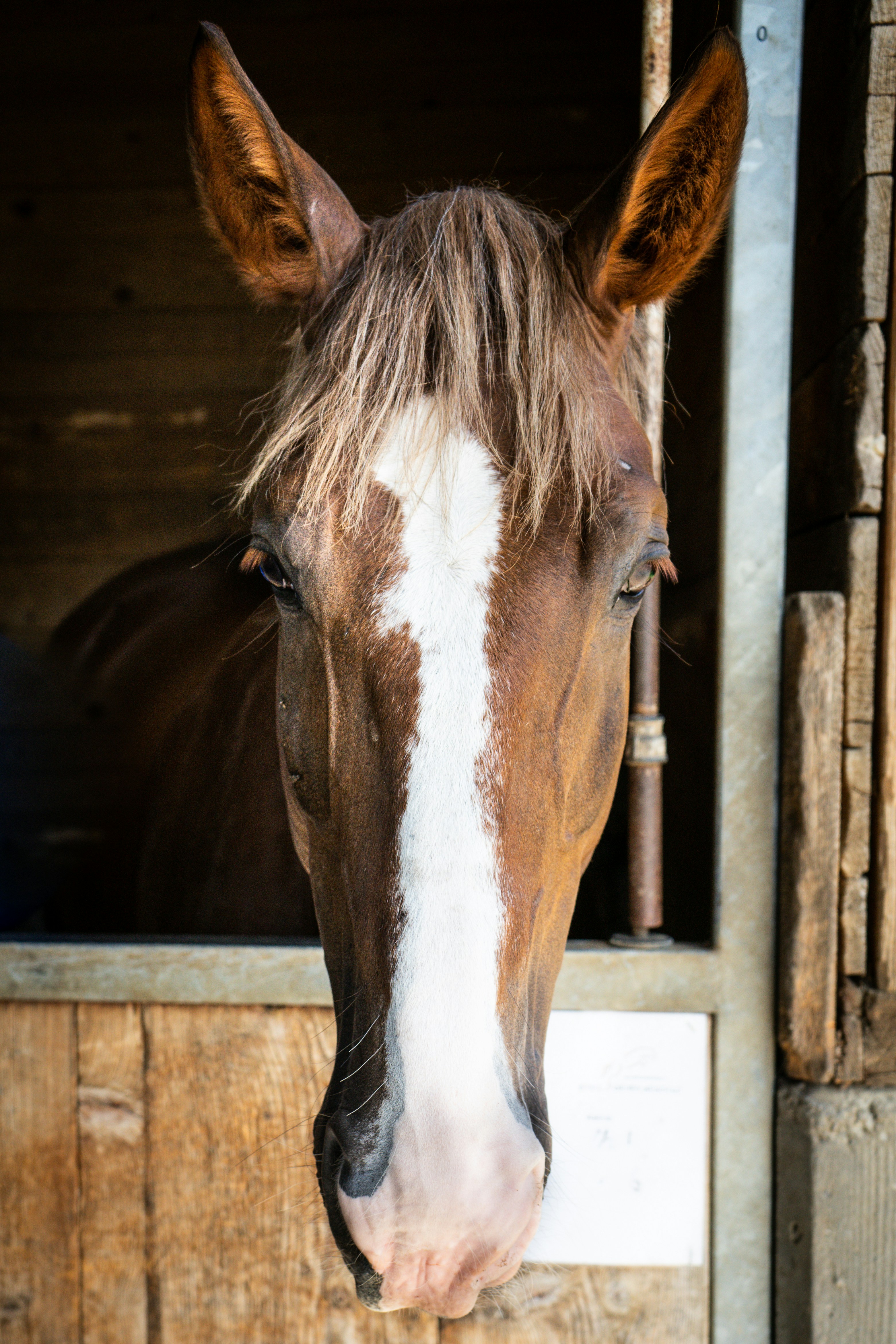 Photo by melimascella_