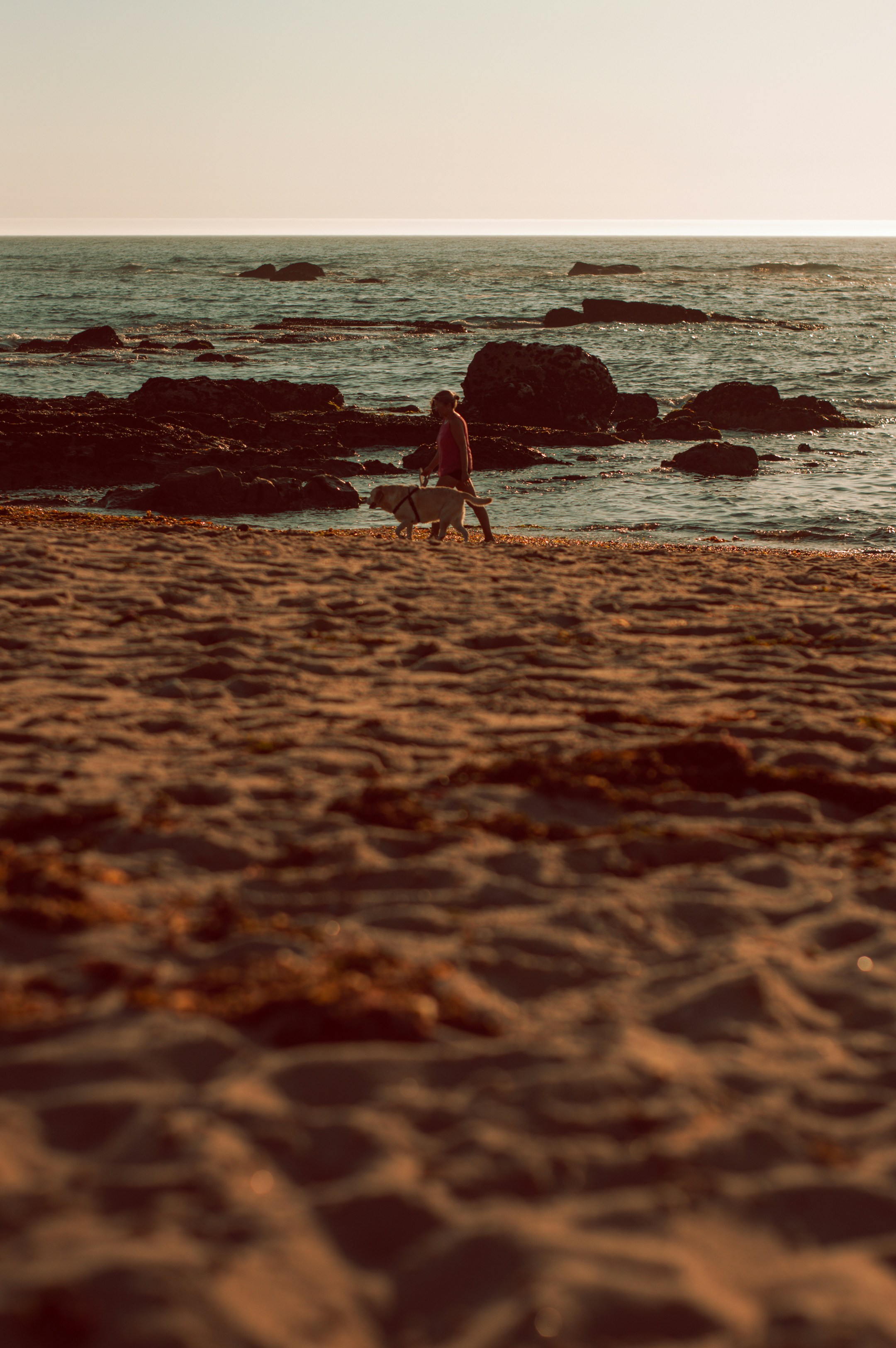 Photo by sergioandreleal