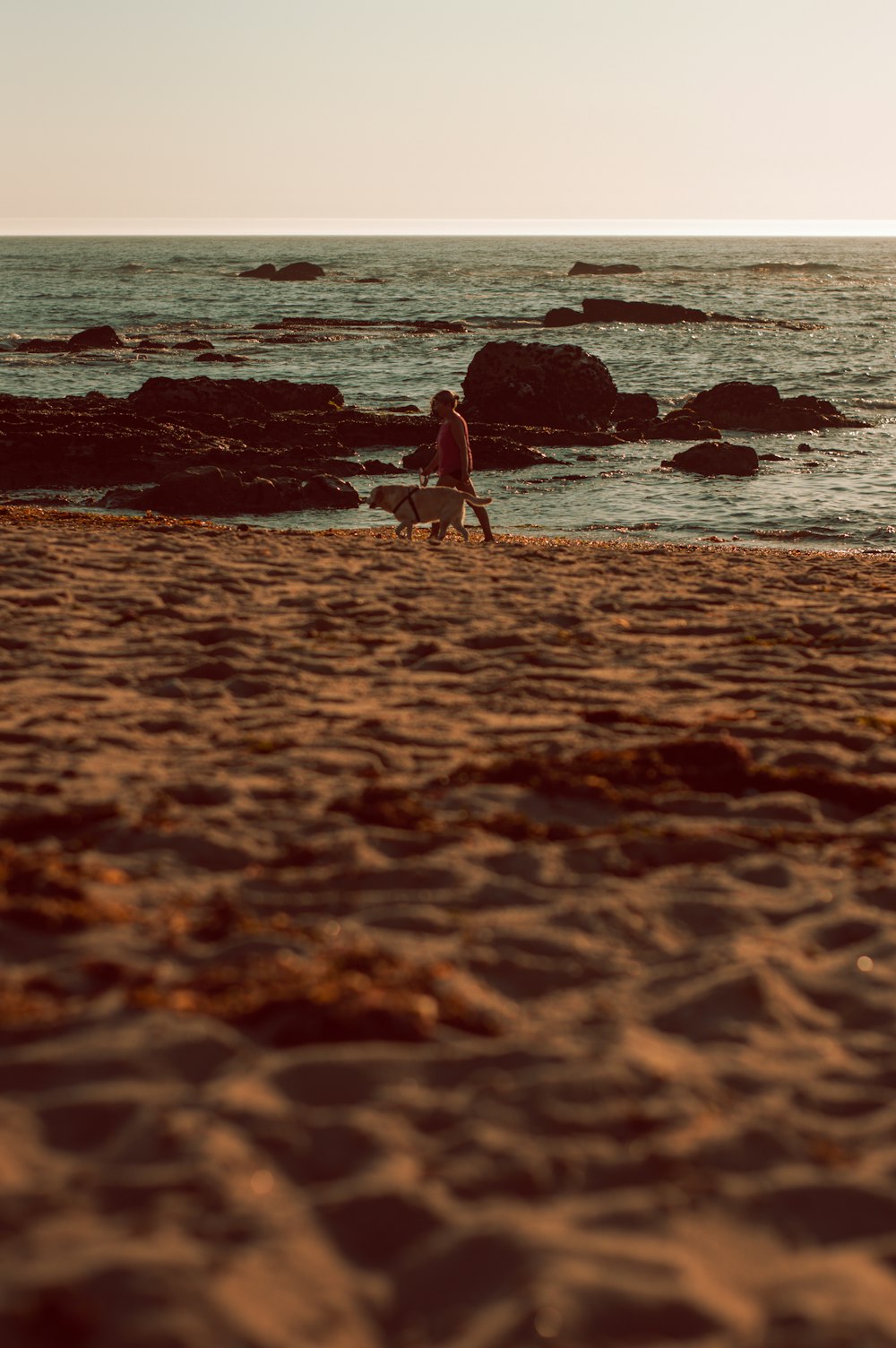 2 people walking on beach during daytime