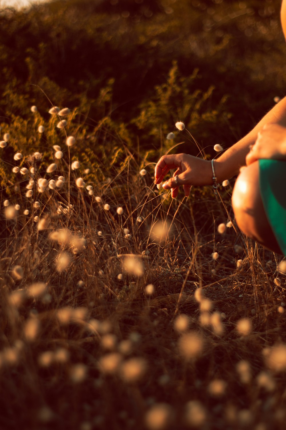 woman in blue and red bikini on yellow flower field during daytime