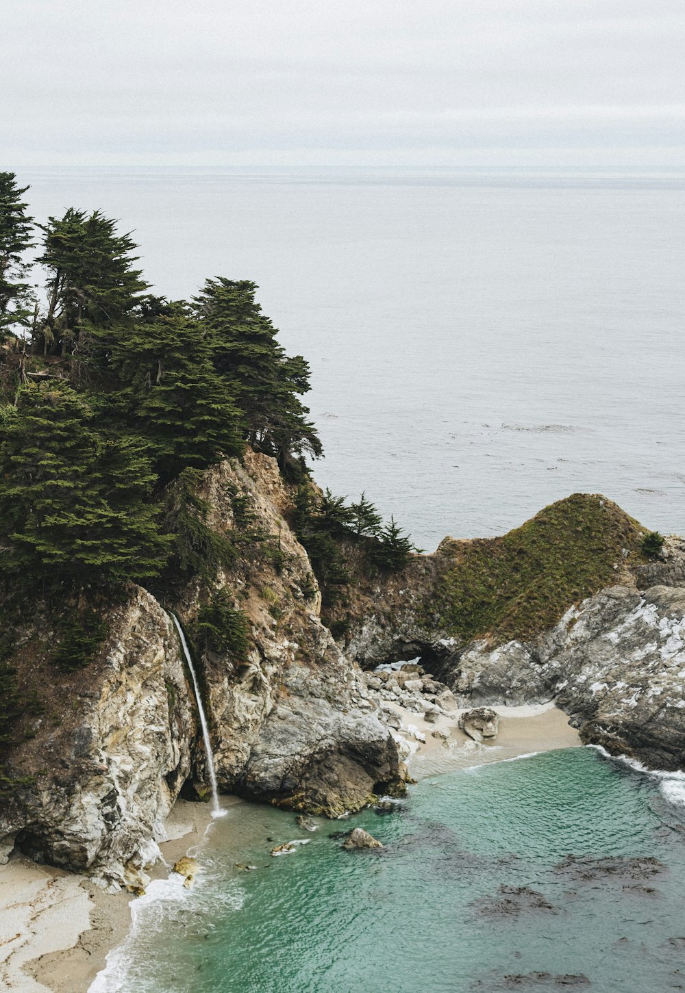 green trees on brown rock formation beside sea during daytime