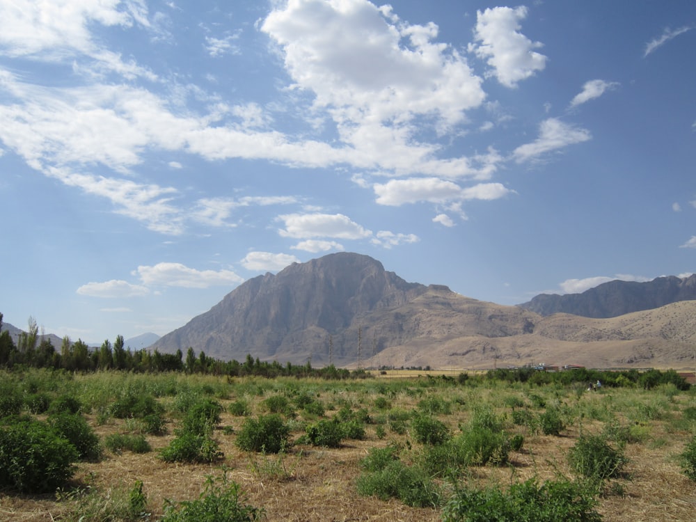 green grass field near mountain under blue sky during daytime