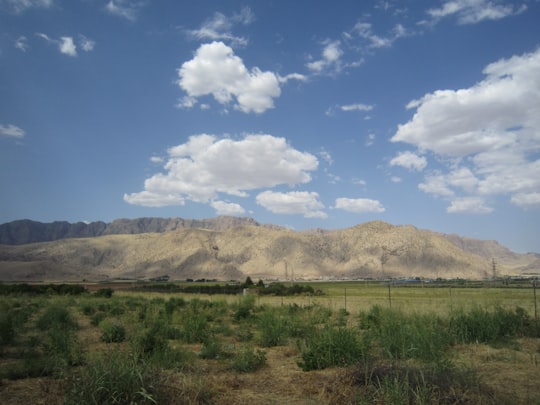 green grass field near mountain under blue sky during daytime in Lorestan Province Iran