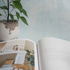 green plant on white book page