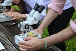 A close-up view of individuals using microscopes outdoors on a wooden table. There are two microscopes visible, each being used to observe petri dishes containing samples. The hands of two individuals are visible, one wearing a pink shirt and a green bracelet. The setting appears to be a casual, outdoor learning environment.