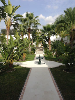 A vibrant tropical garden with colorful flowers, palm trees, and a winding stone pathway.
