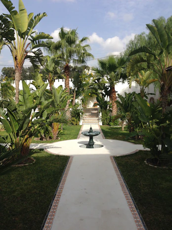 Lush garden pathway lined with tropical plants leading to the boutique hotel entrance.