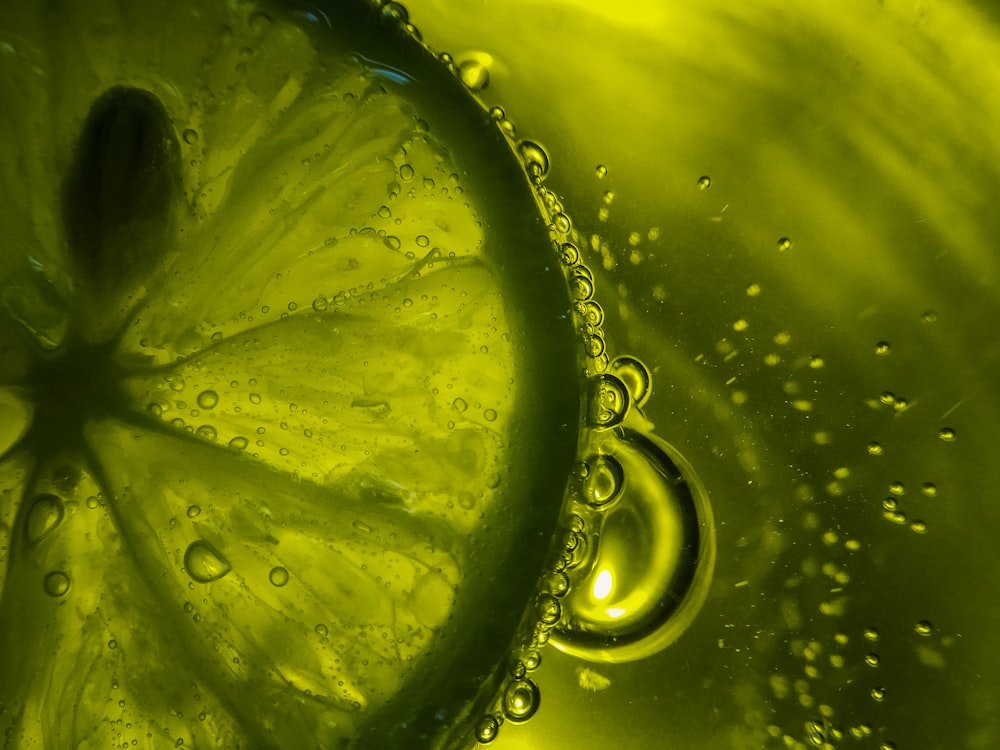 Lime Green Pictures  Download Free Images on Unsplash