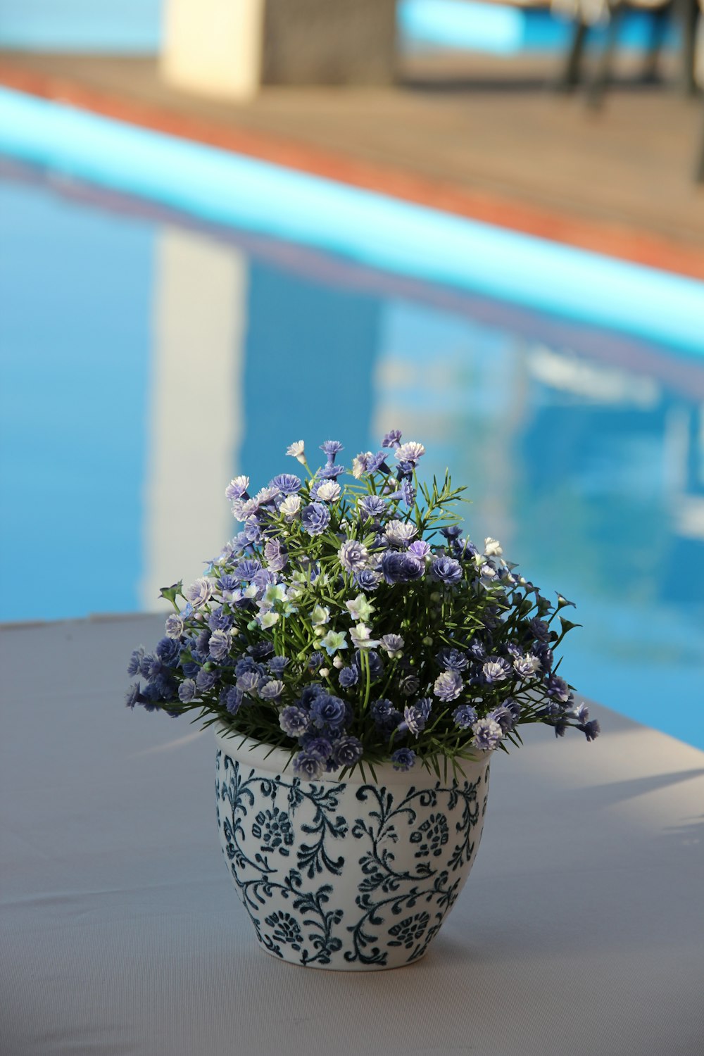 purple flowers on white and blue floral ceramic vase