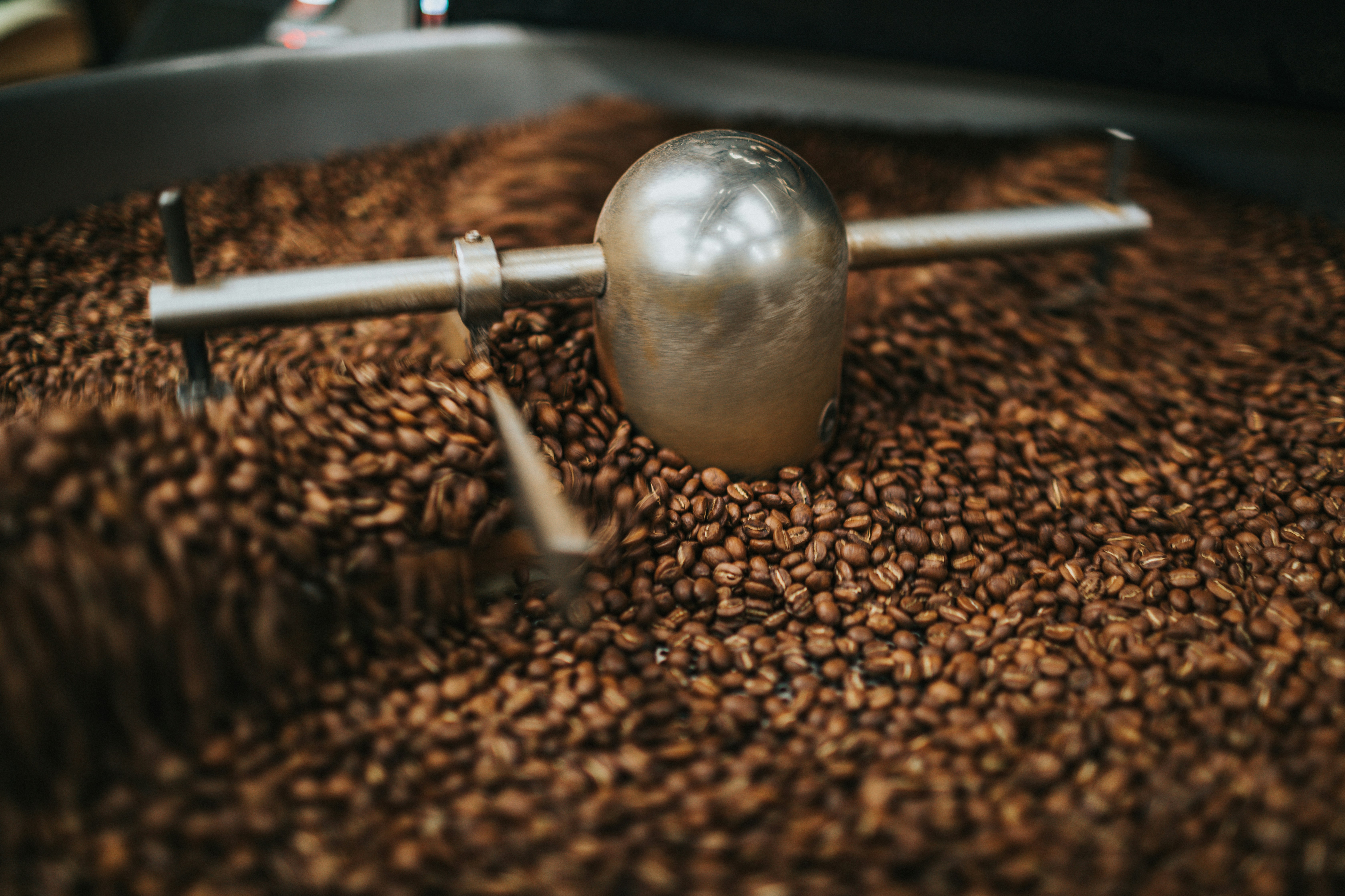 Photo by nate_dumlao