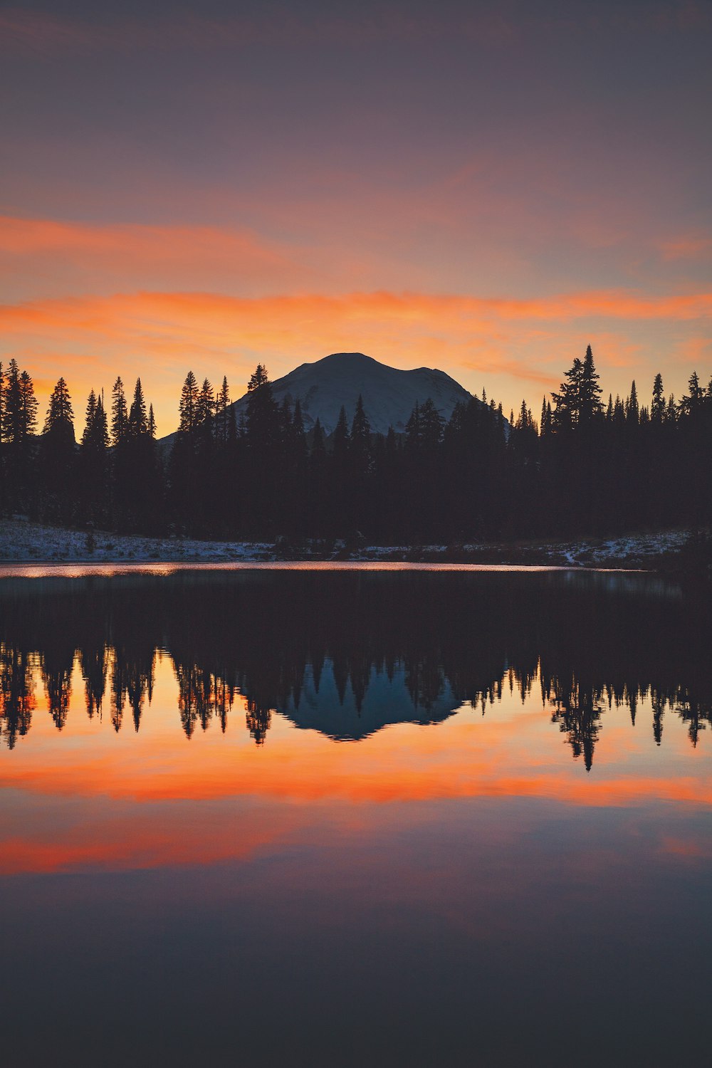 silhouette of trees near body of water during sunset