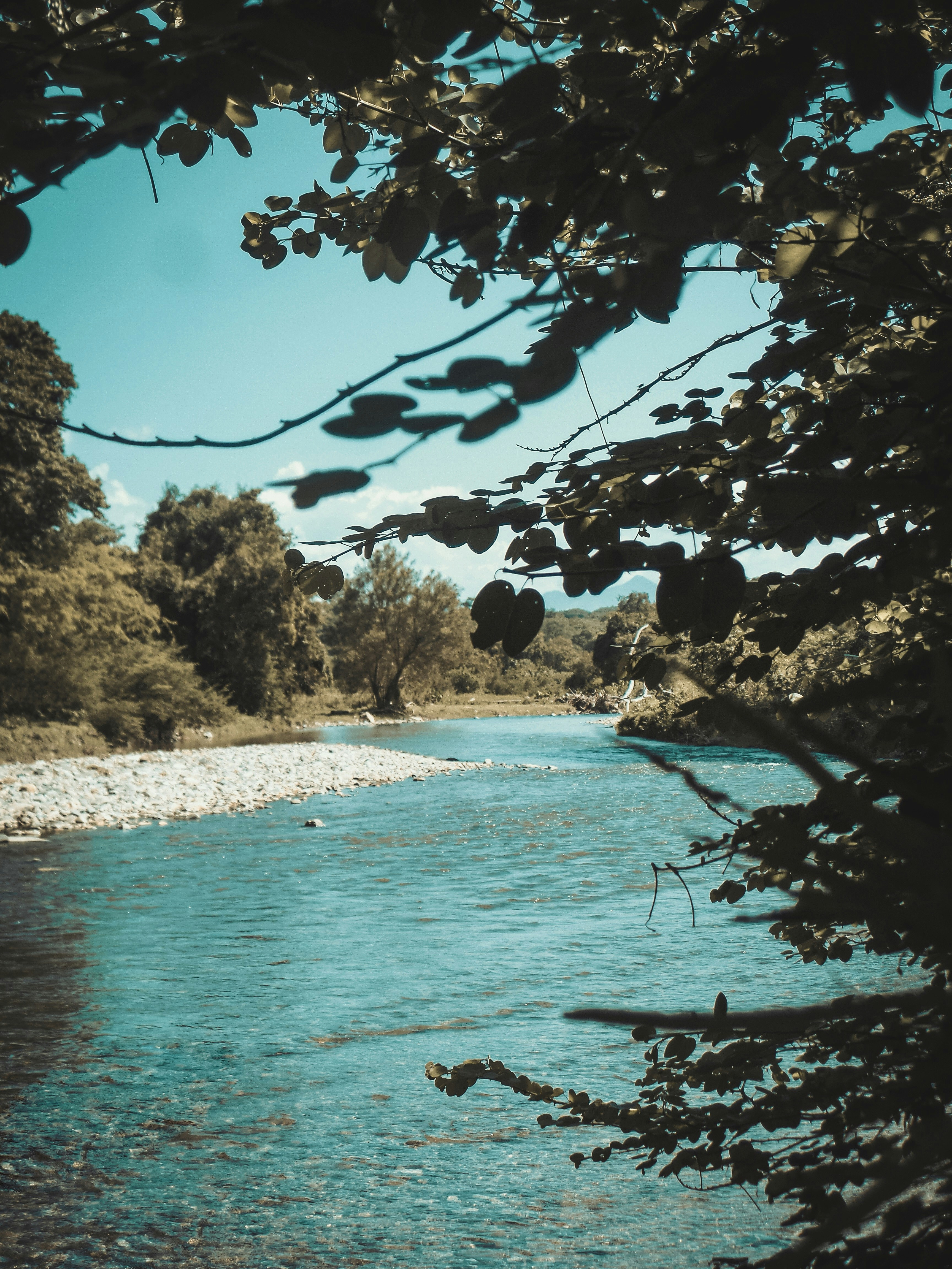 Photo by alejandroalas7536