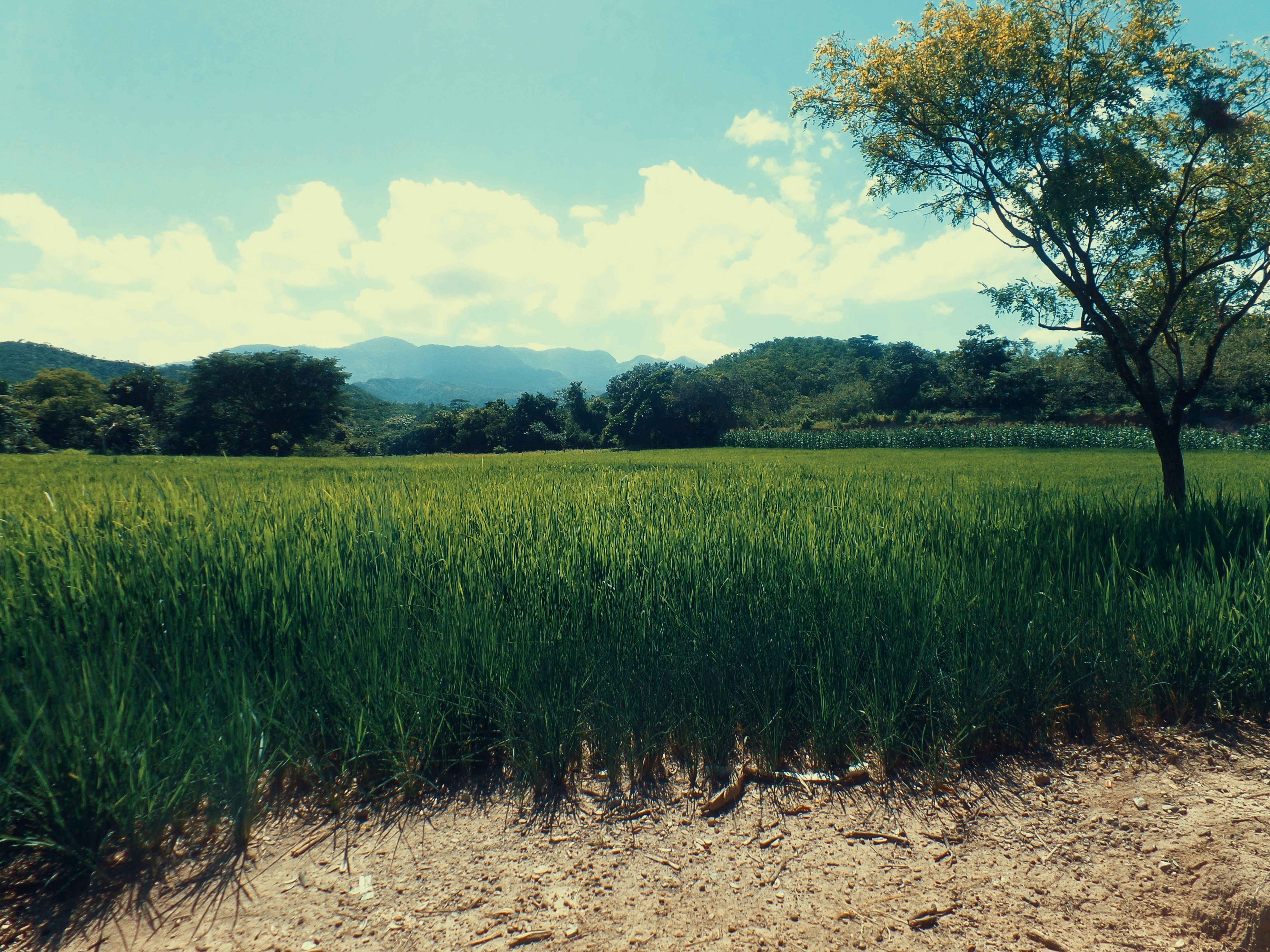 Photo by alejandroalas7536