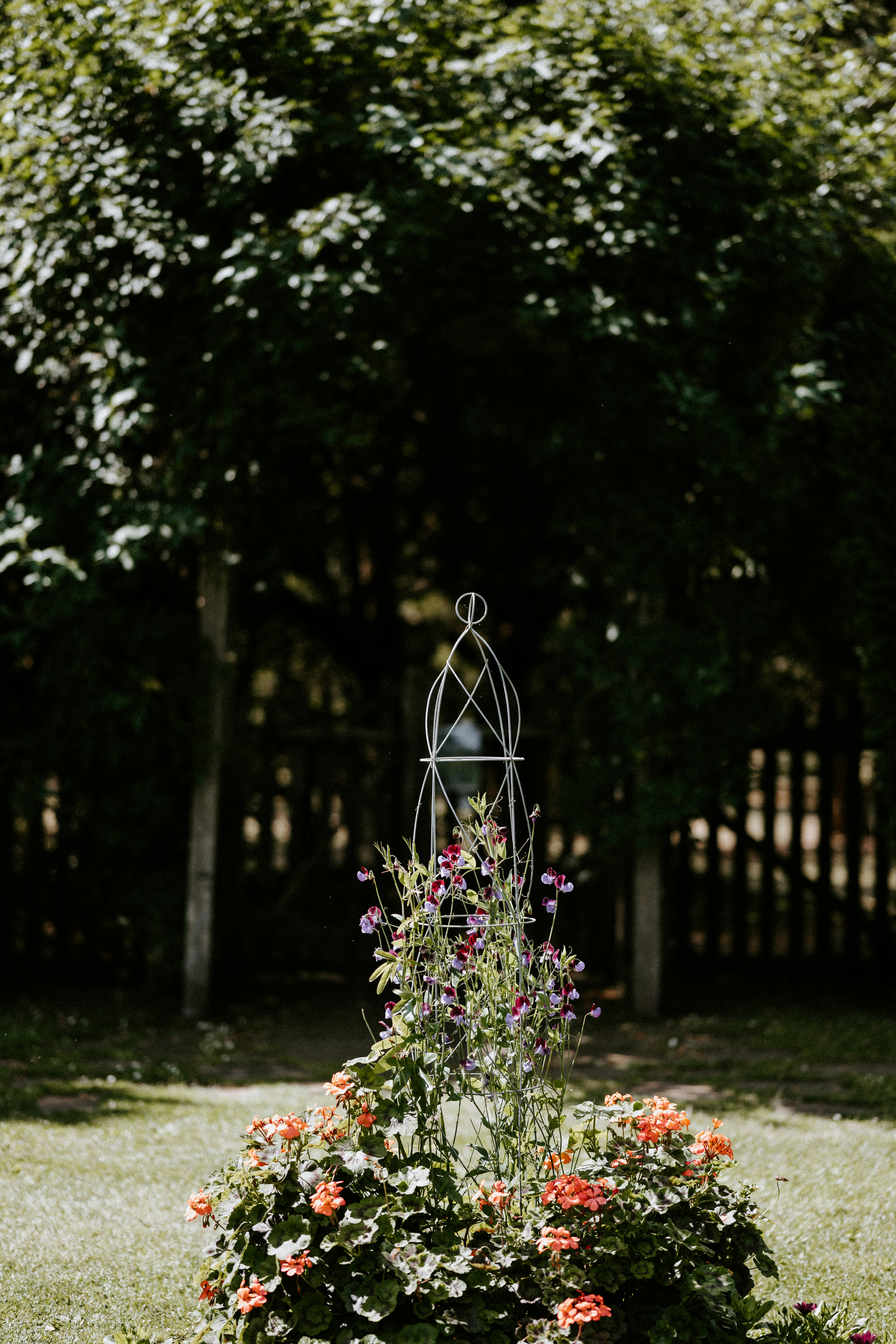 Photo by anniespratt