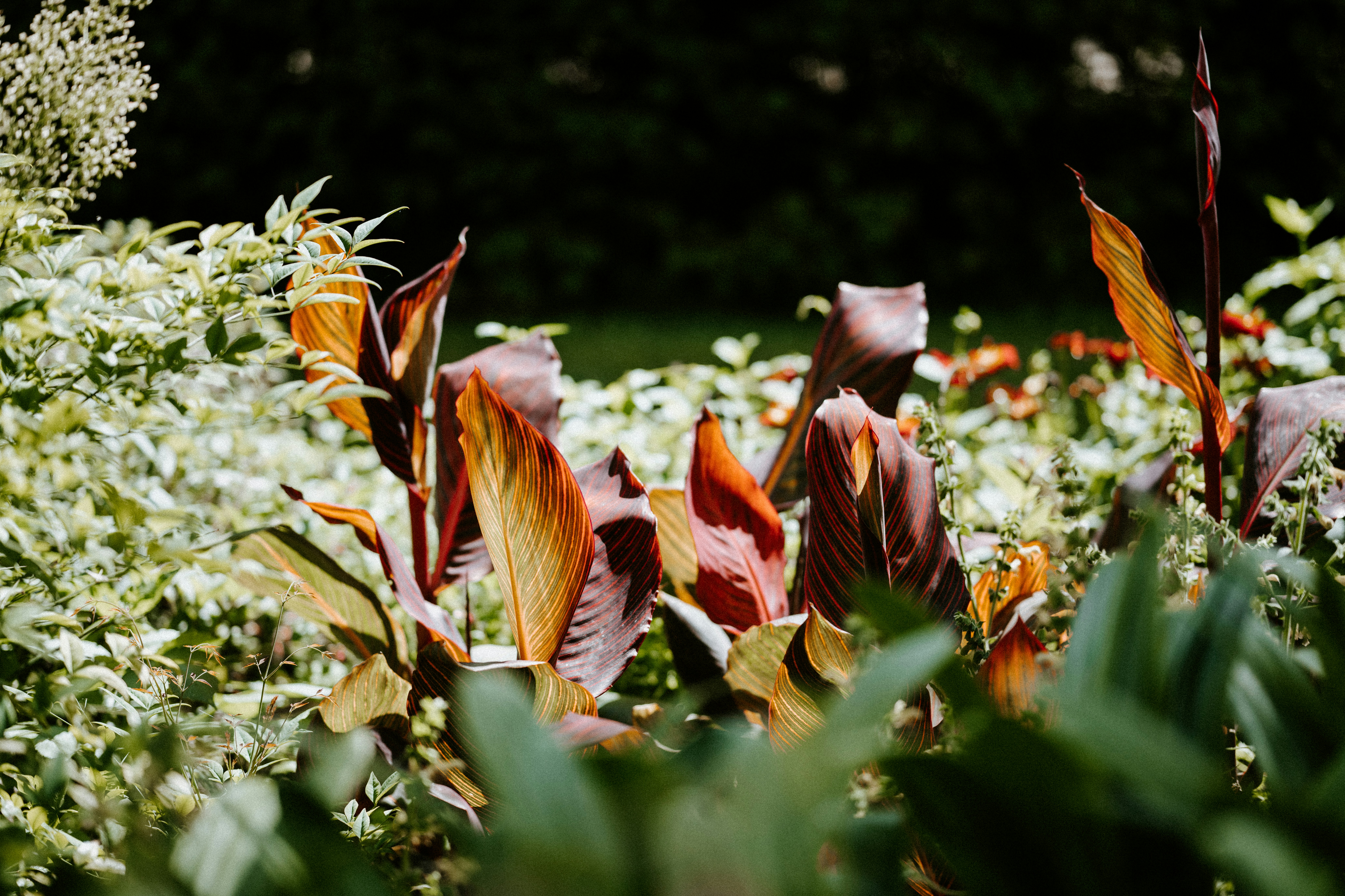 Photo by anniespratt