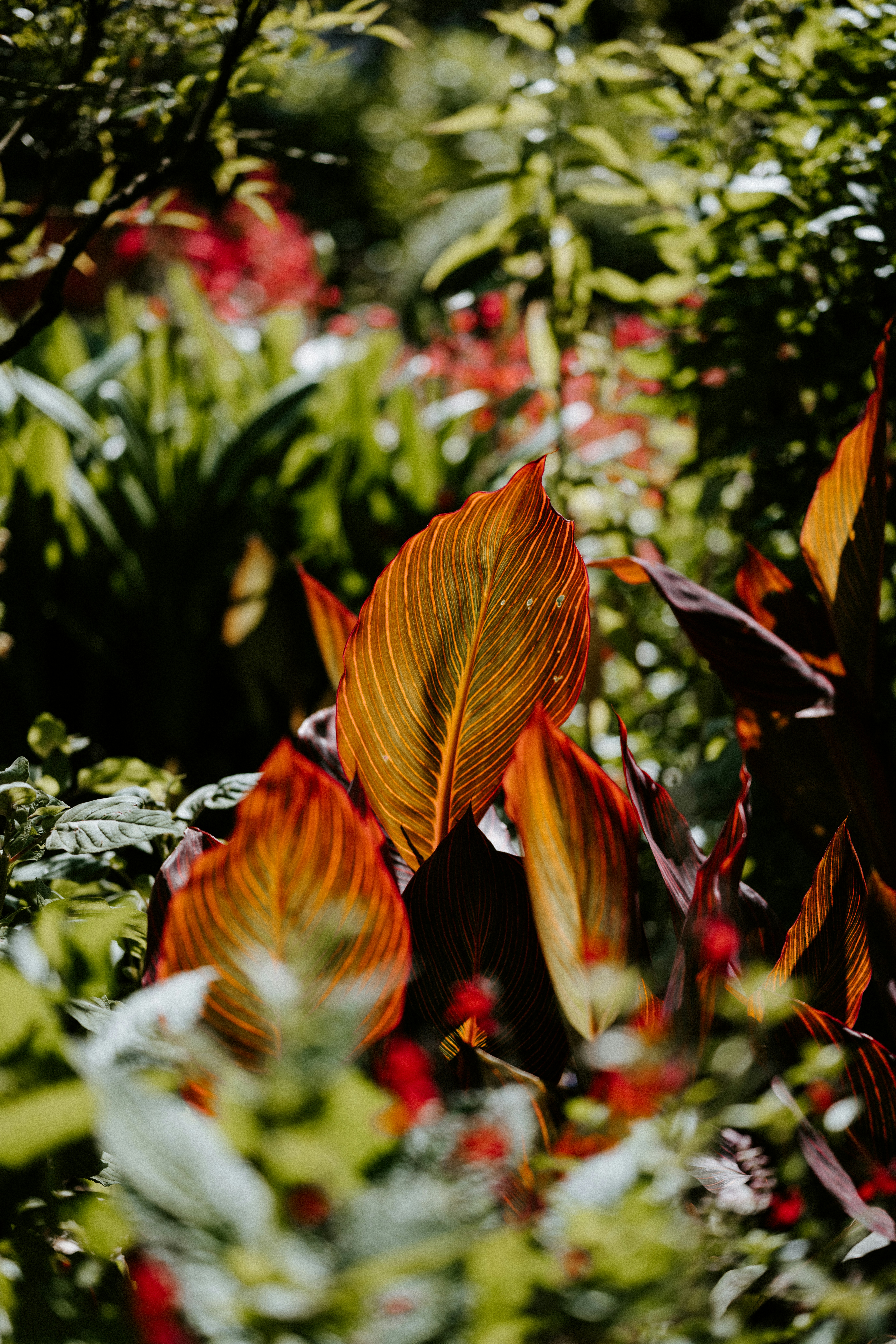 Photo by anniespratt