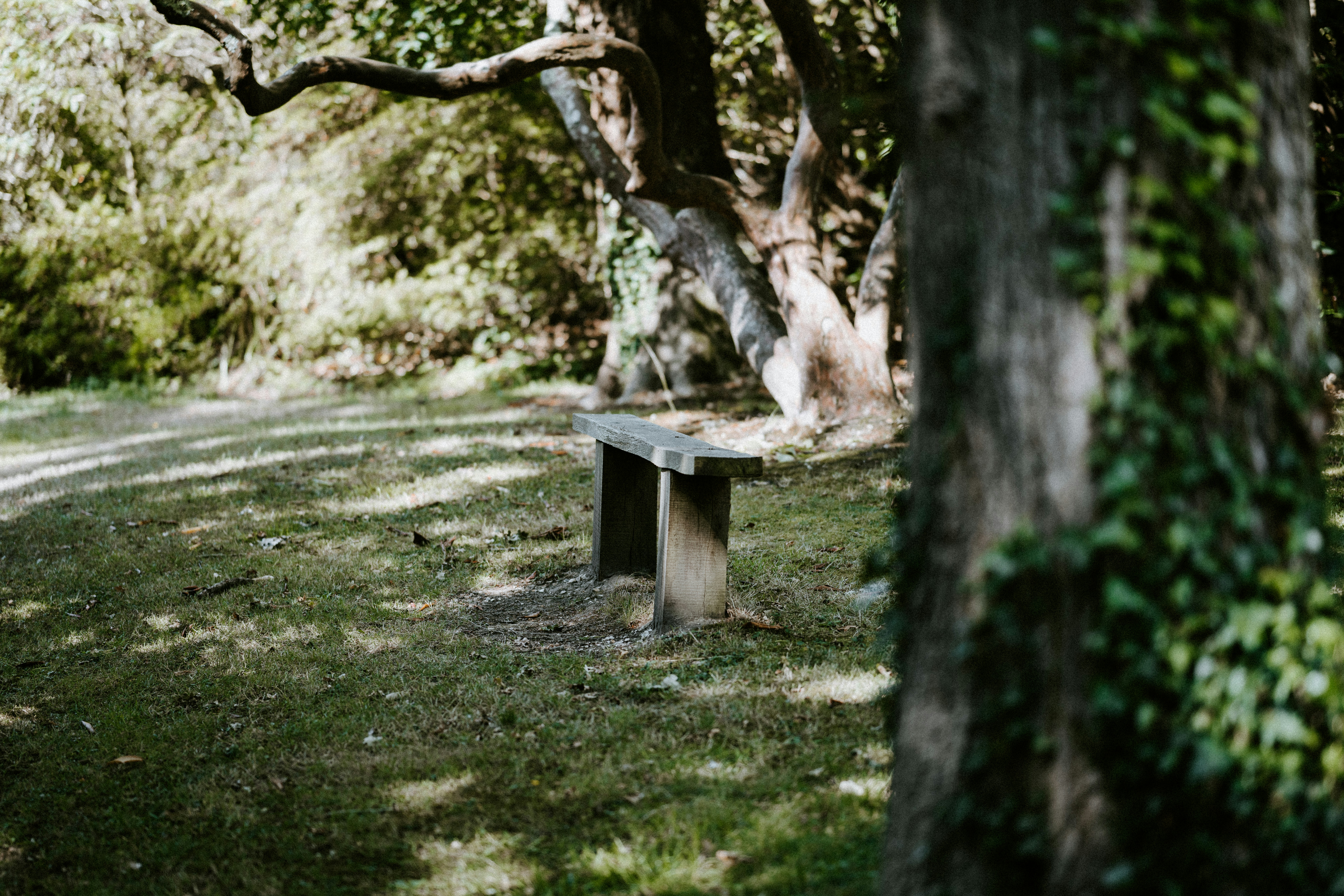 Photo by anniespratt