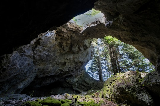 brown rock formation near green trees during daytime in Montségur France