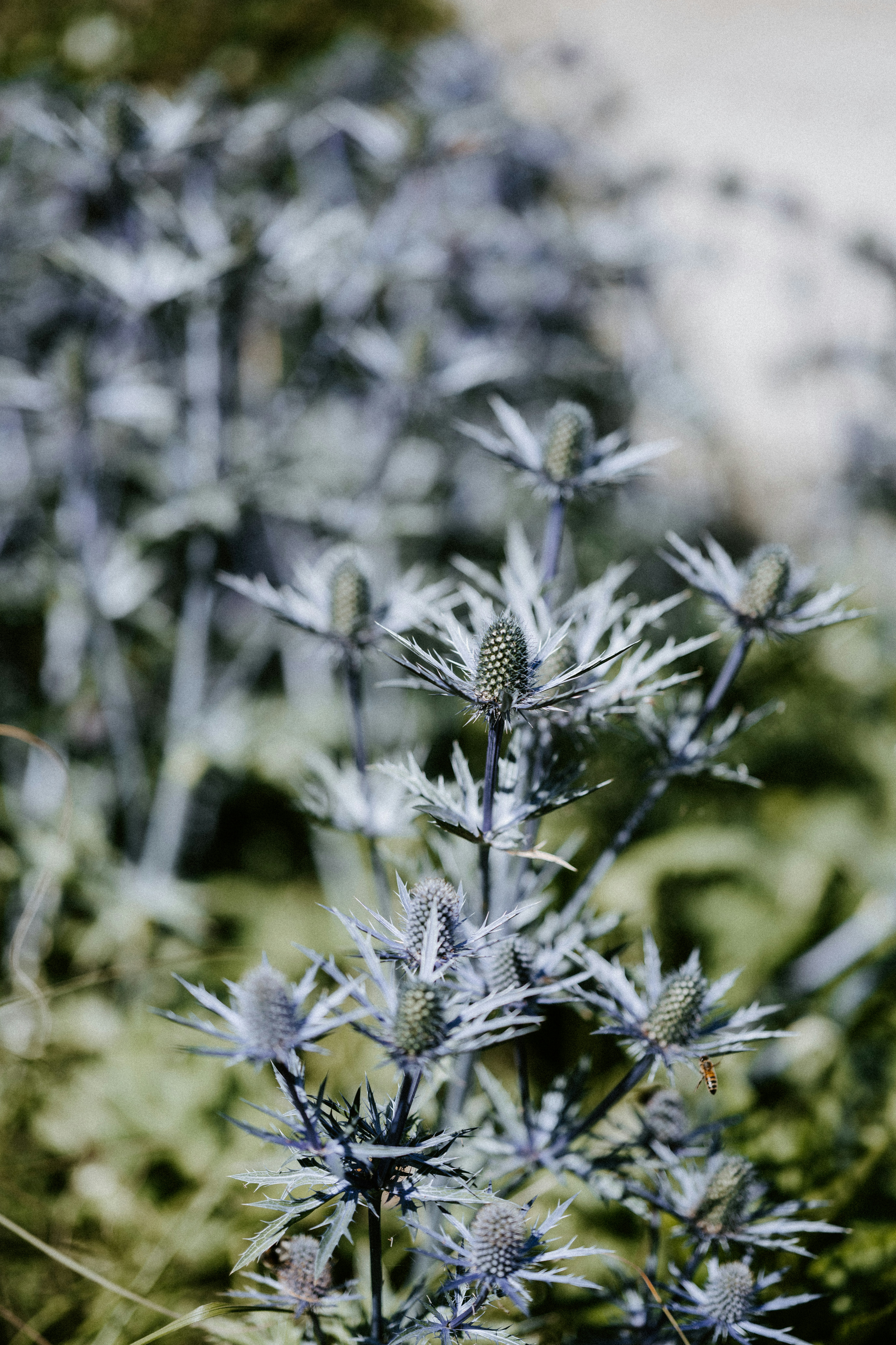 Photo by anniespratt