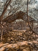 A wooden shelter with a slatted roof stands amidst a dense thicket of intertwining branches and trees. Sunlight filters through the leaves, casting intricate shadows on the ground covered with scattered fallen leaves. Two wooden benches flank the interior of the shelter.