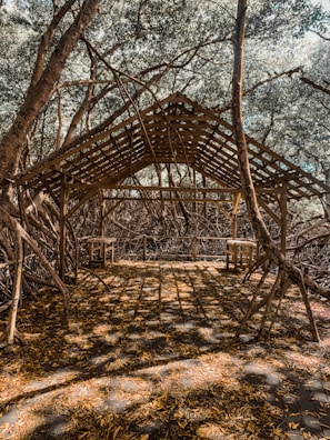 A wooden shelter with a slatted roof stands amidst a dense thicket of intertwining branches and trees. Sunlight filters through the leaves, casting intricate shadows on the ground covered with scattered fallen leaves. Two wooden benches flank the interior of the shelter.