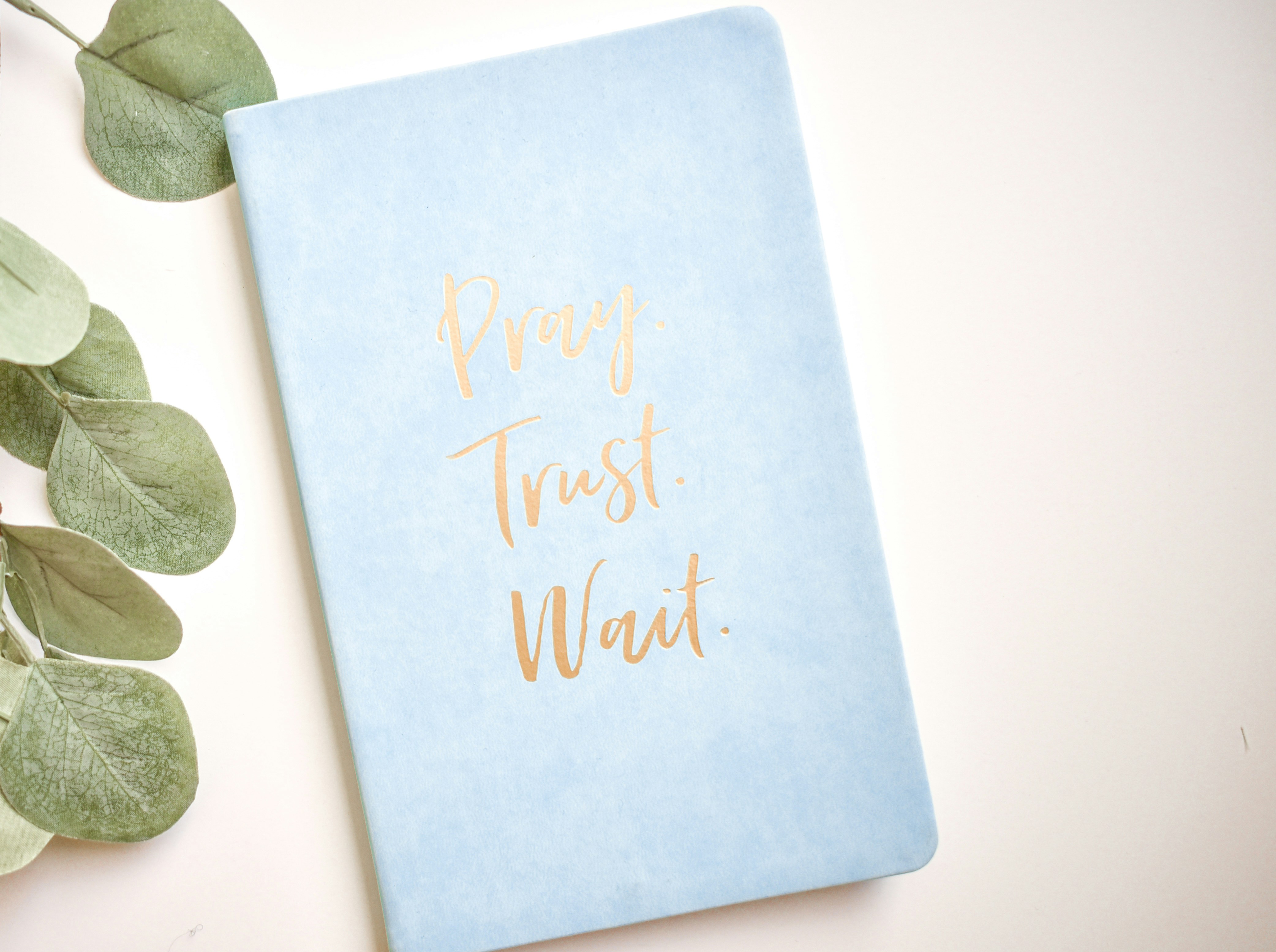 בלוג ומאמרים