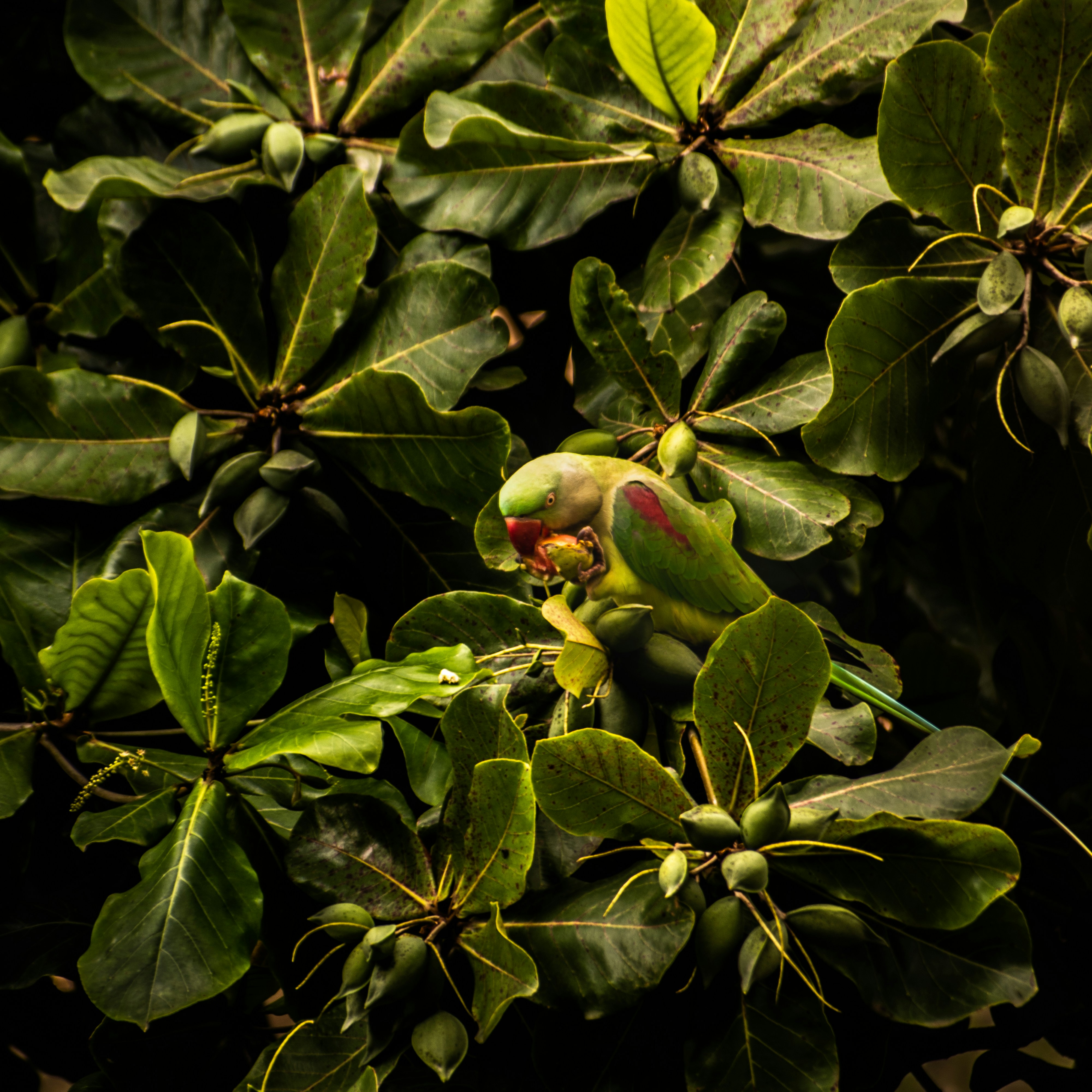 Photo by pranjallk1995