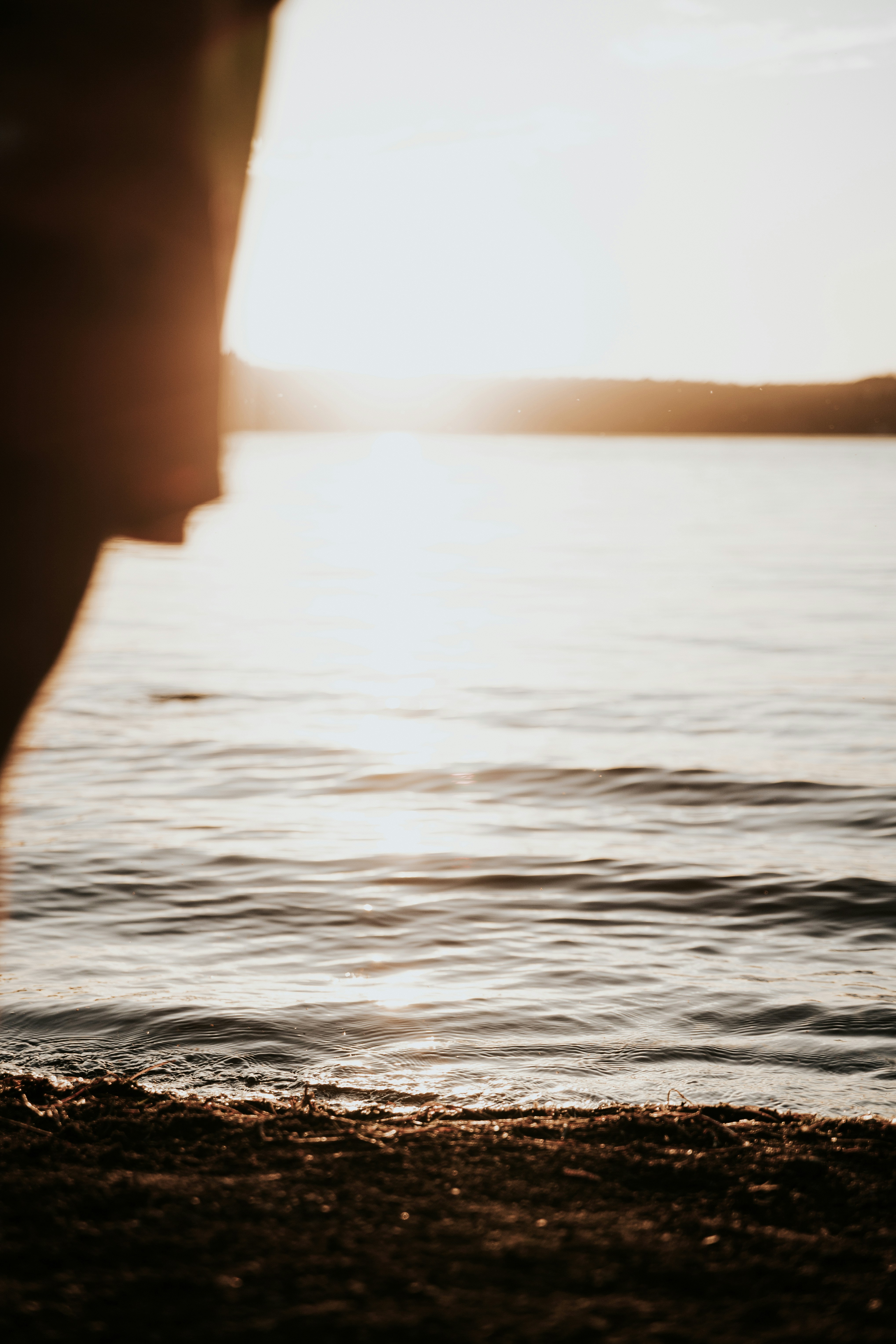 Photo by brandoncmorales