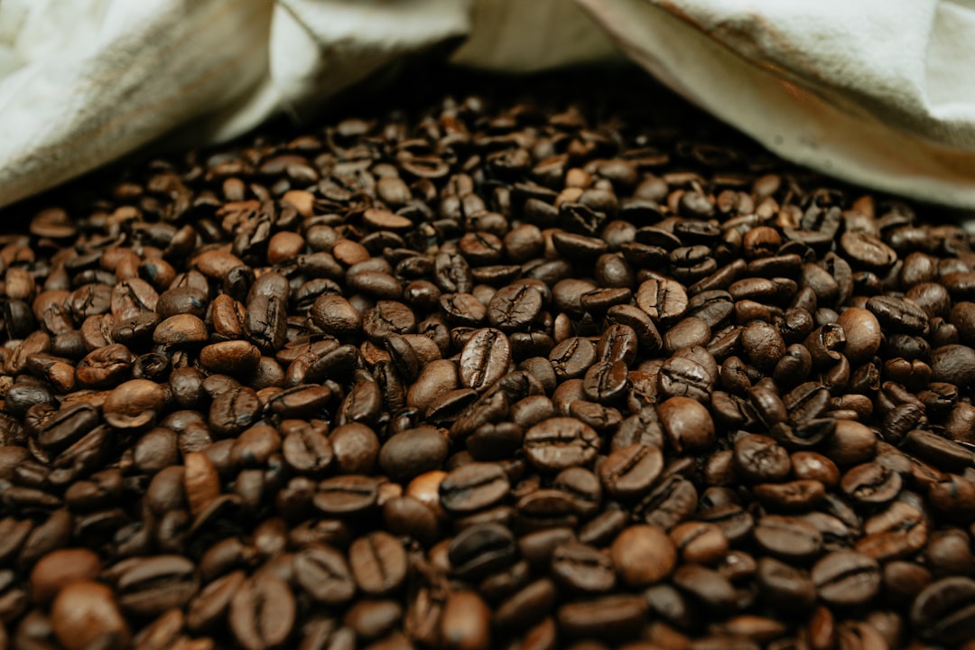 brown coffee beans on white textile