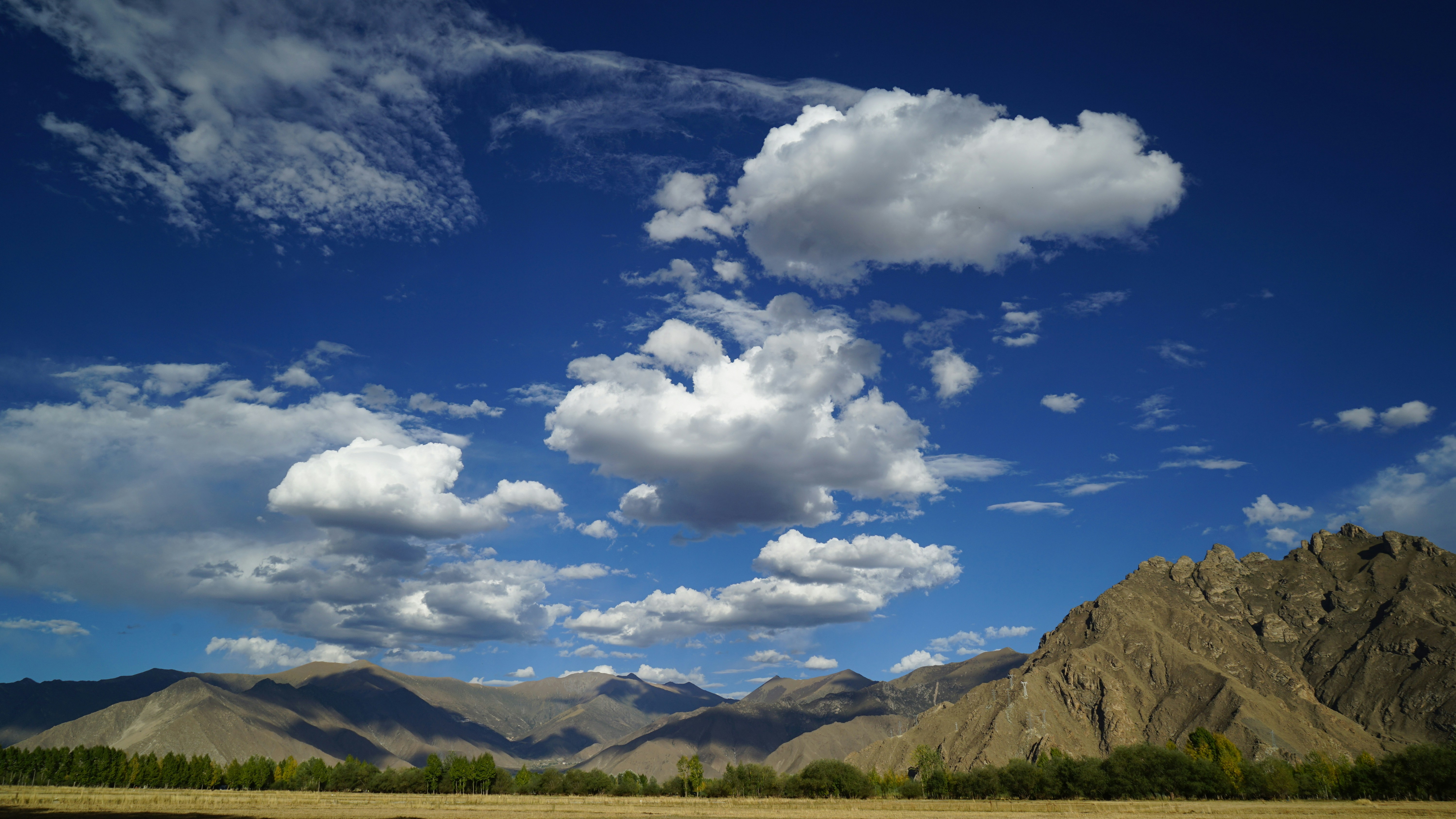 Photo by dylanmonster