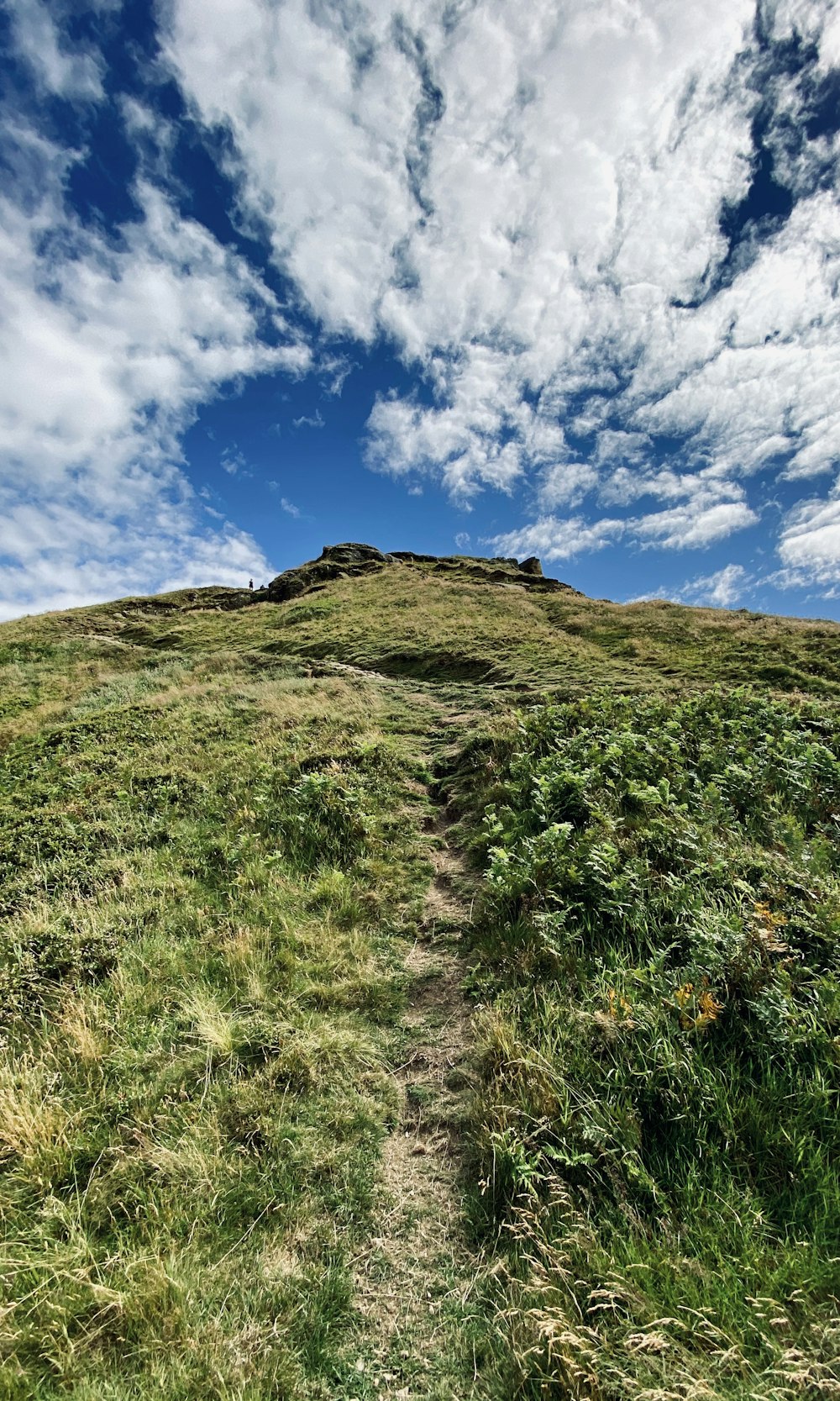 green grass field under blue sky and white clouds during daytime