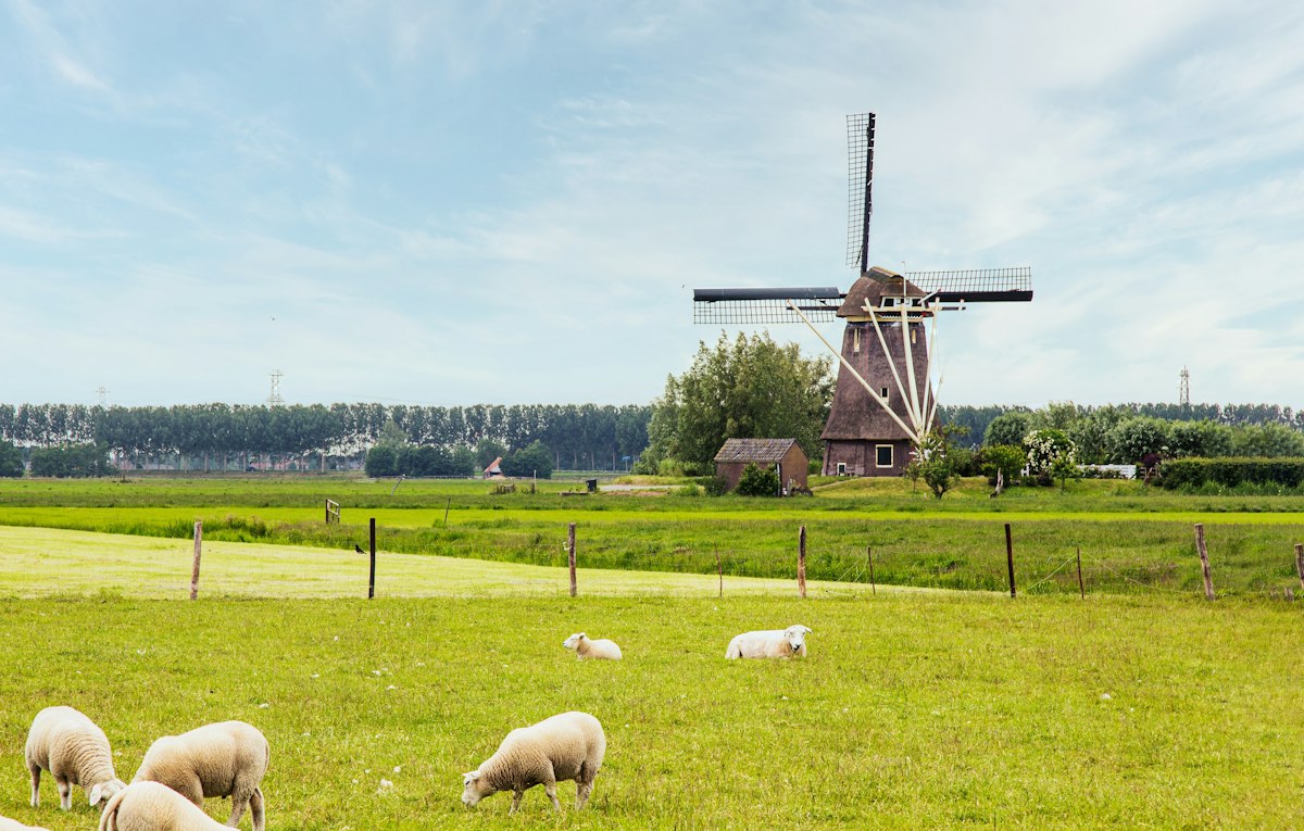 Boerderijwinkel Natuurlijk!