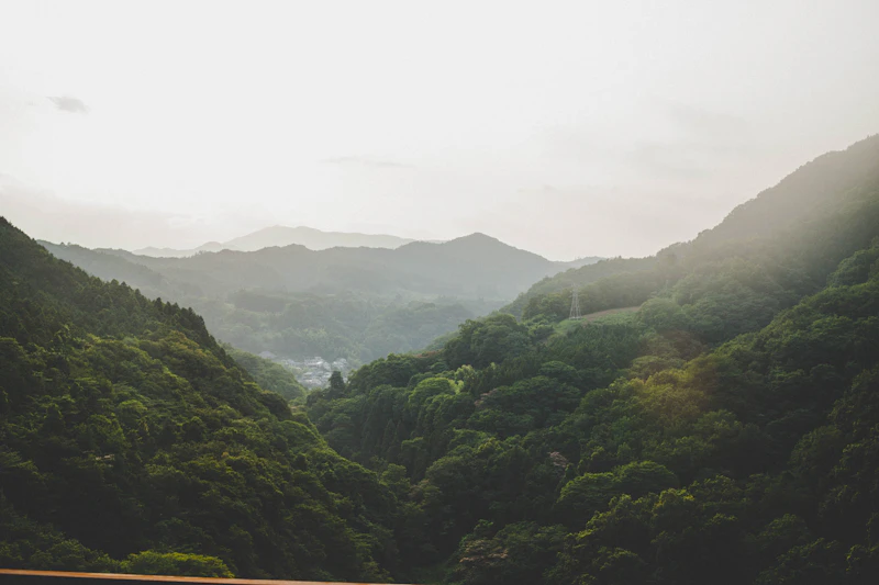 Japan's Most Beautiful Waterfalls: From Nikko to Shiraito Falls